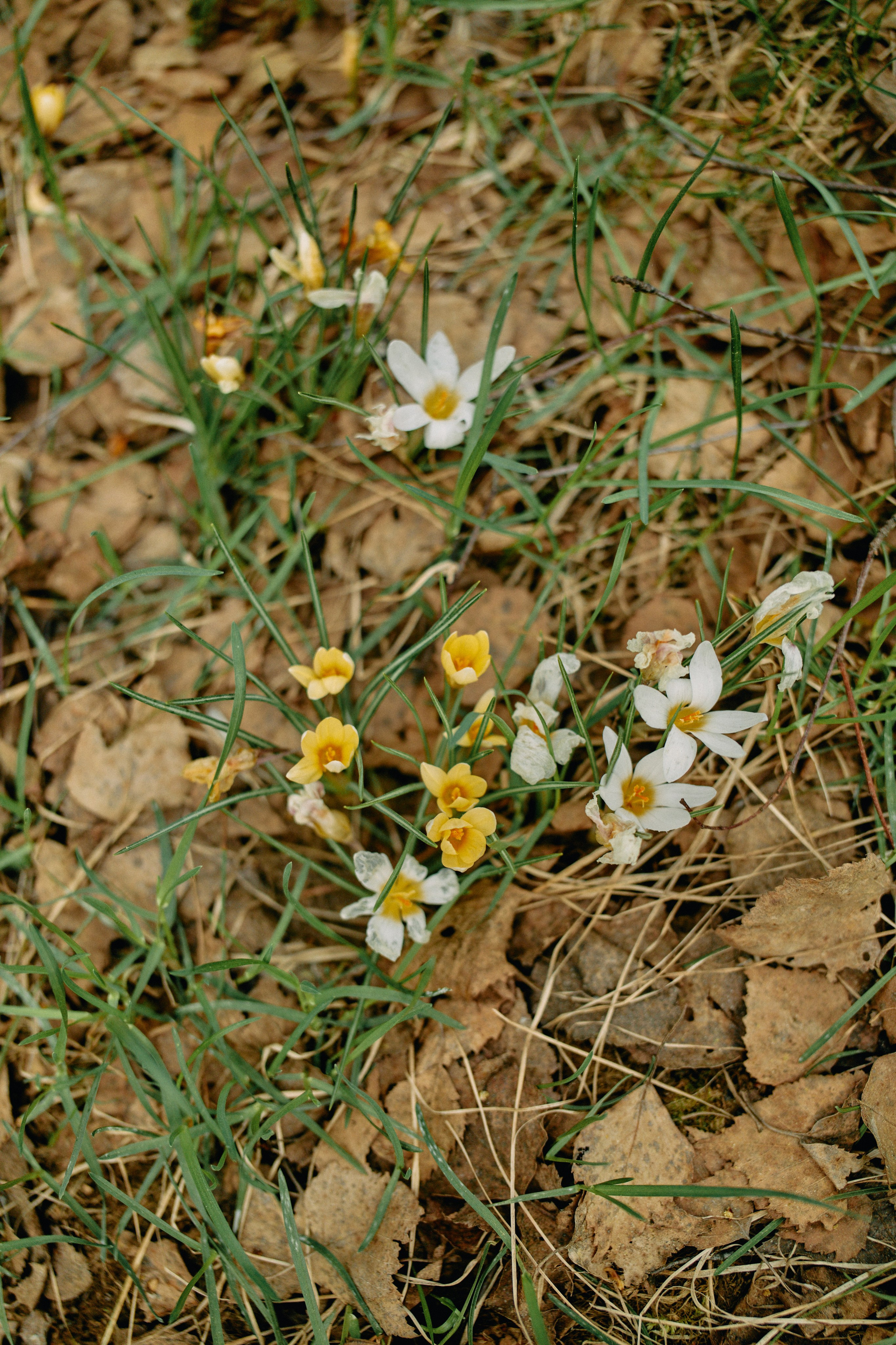 Бутик-отель Поле летом. Профессиональный Фотограф во Владимире, в Москве и в Суздале — Полина Романычева