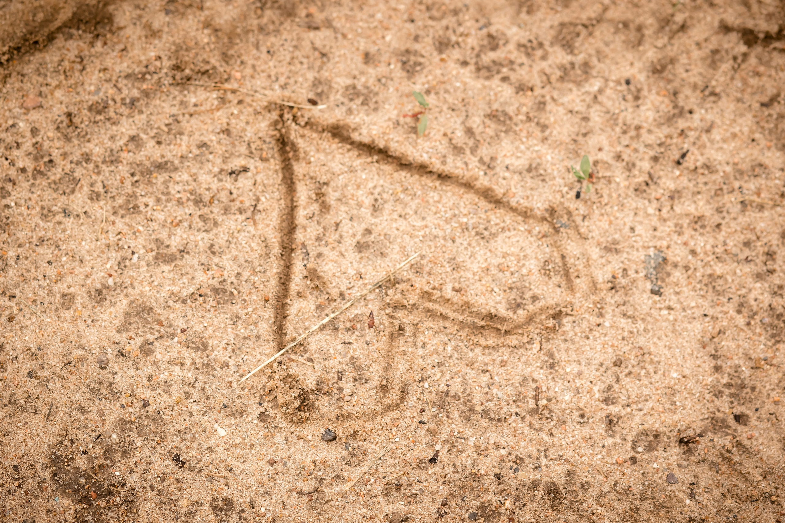 Катя с детками