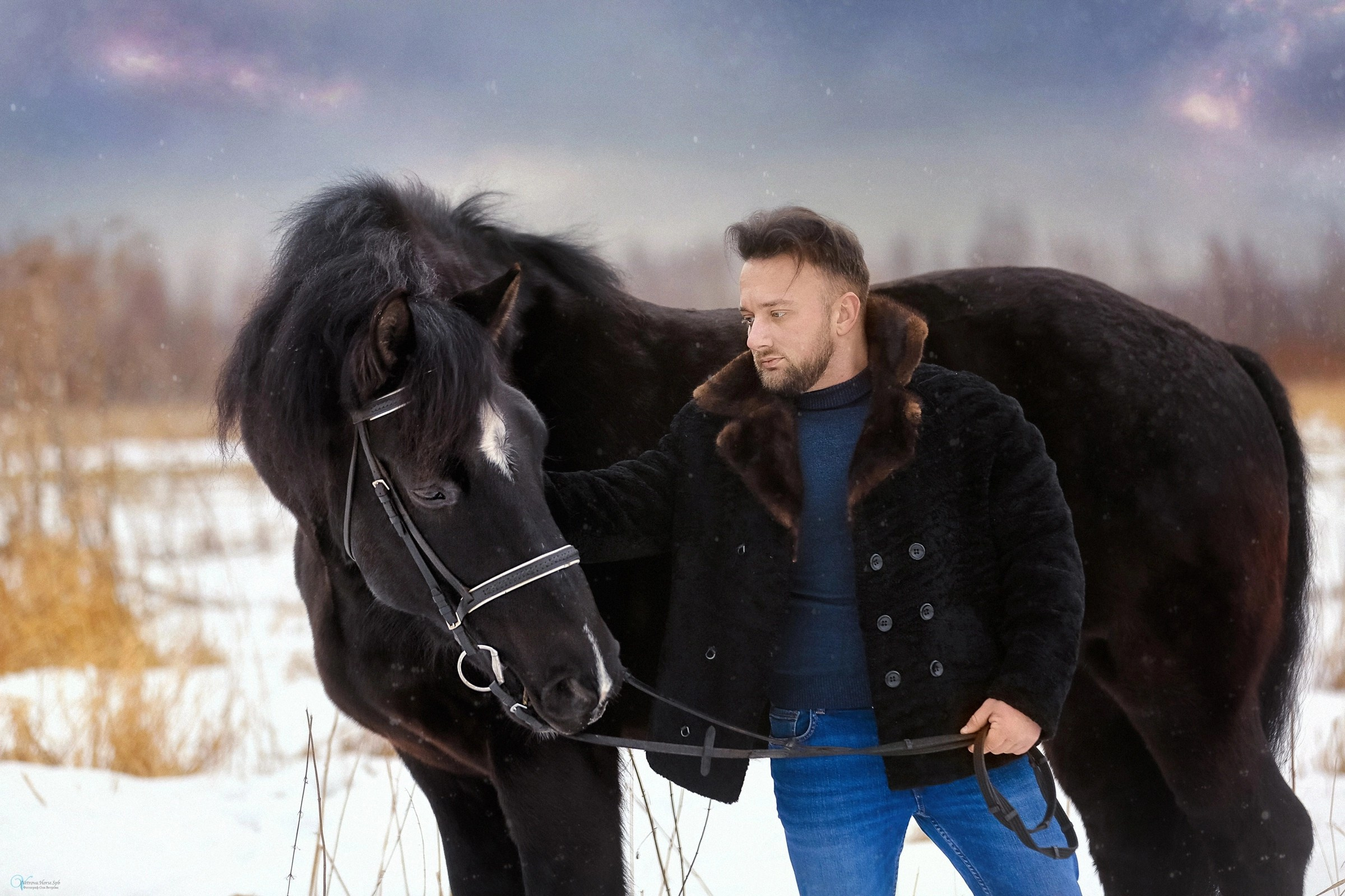 Фотосессии с лошадьми зимой. Фотограф женский и мужской портрет Санкт-Петербург
