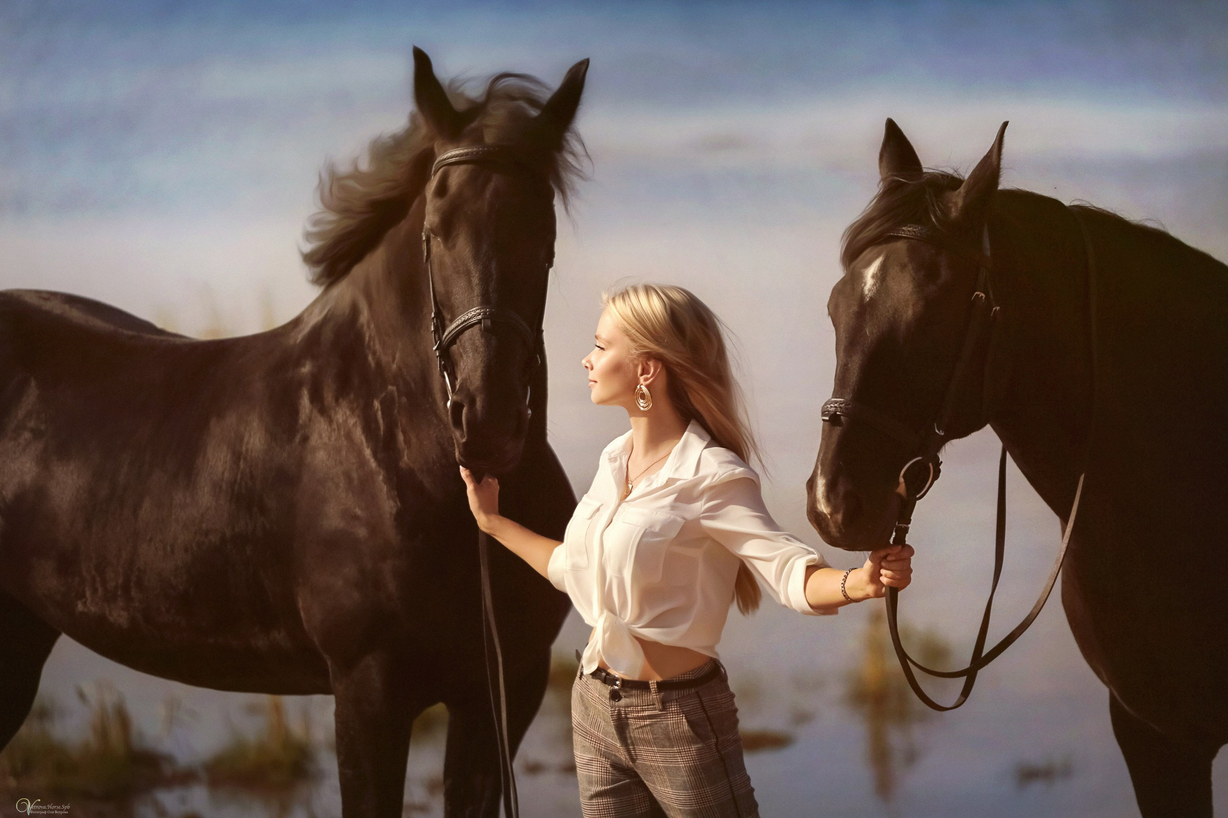 Девушка с длинными волосами с лошадьми, фотосессия на заливе с двумя лошадьми