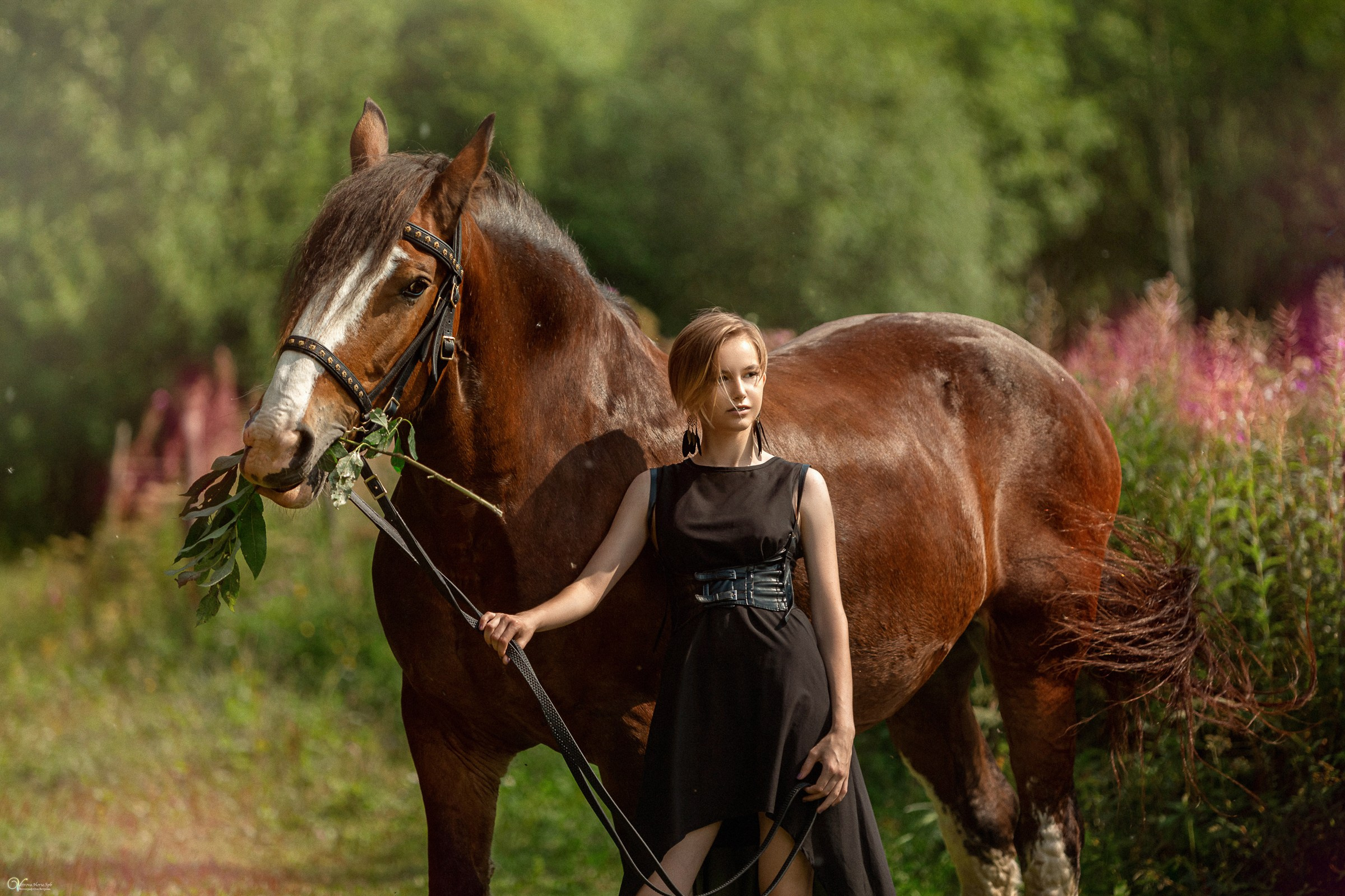 Фотосессии с лошадьми летом. Фотограф женский и мужской портрет Санкт-Петербург