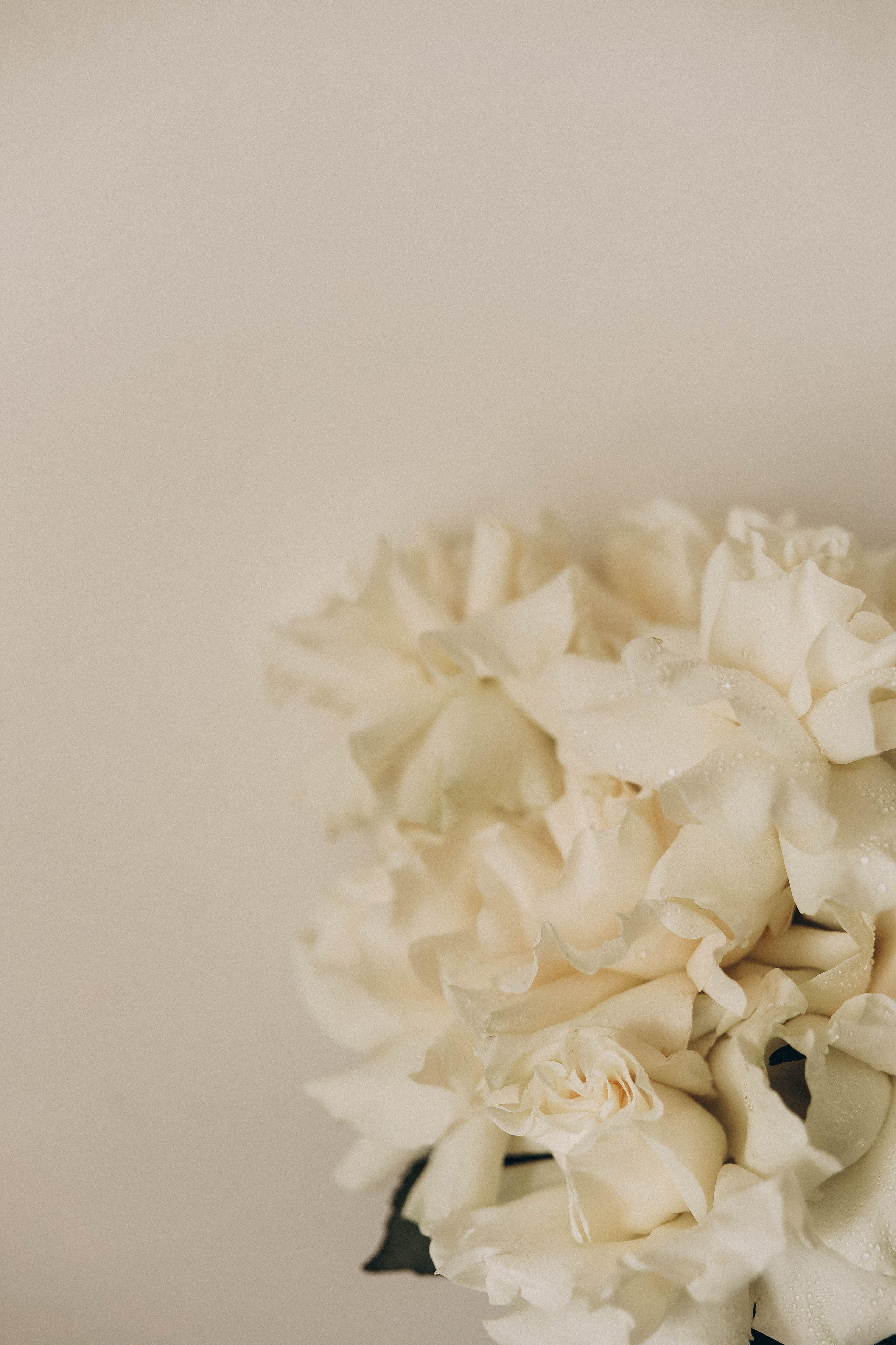 D&N. Свадебный и семейный фотограф Елизавета Артемьева