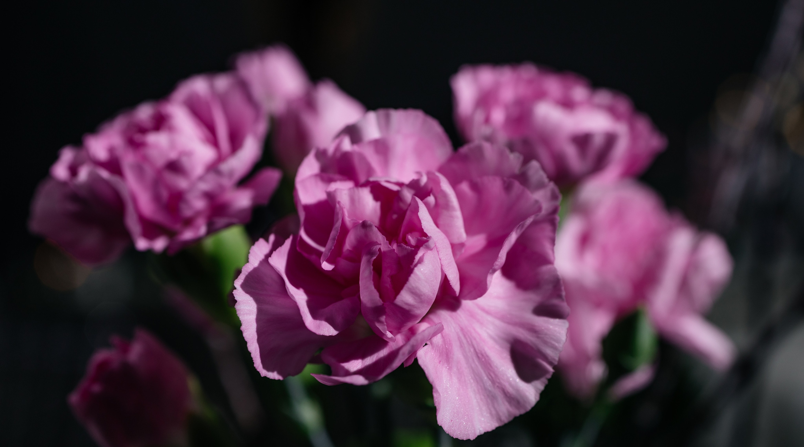 Рига-Москва малый зал. Фотограф Семён Гнеушев