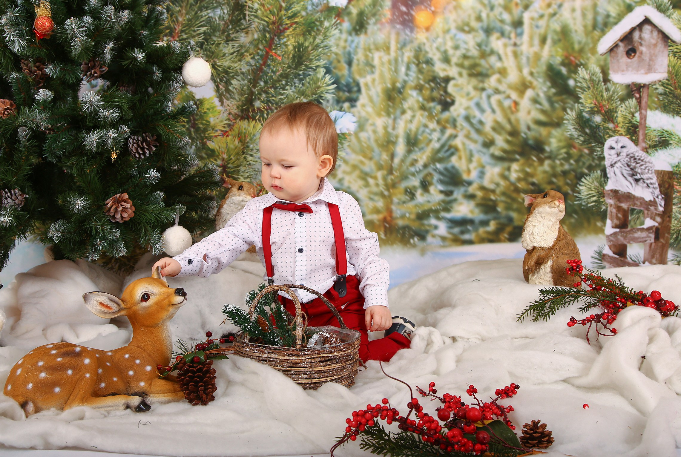Таинственный лес. Выпускные альбомы в Нижнем Новгороде | Фотостудия Звездочет | Никулина Наталья
