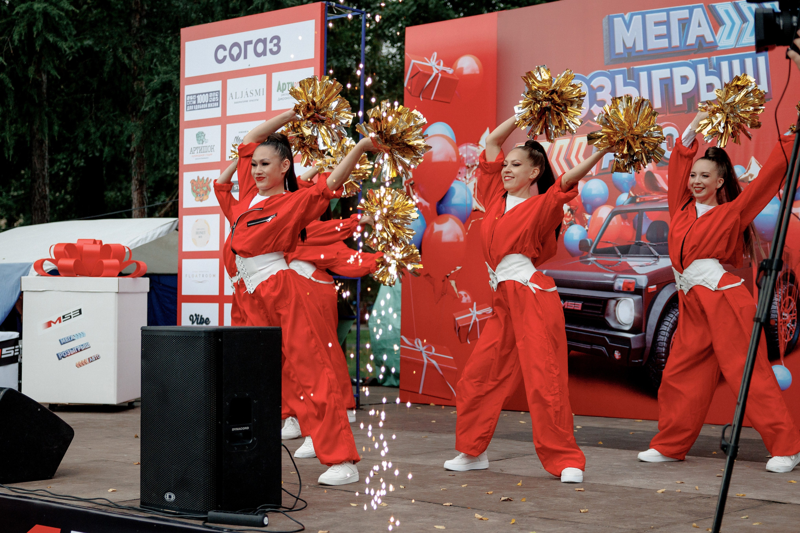 Группа поддержки. Cast event. Go-Go, Анимация, Шоу-балет, Чирлидинг, Ring-girls Кемерово