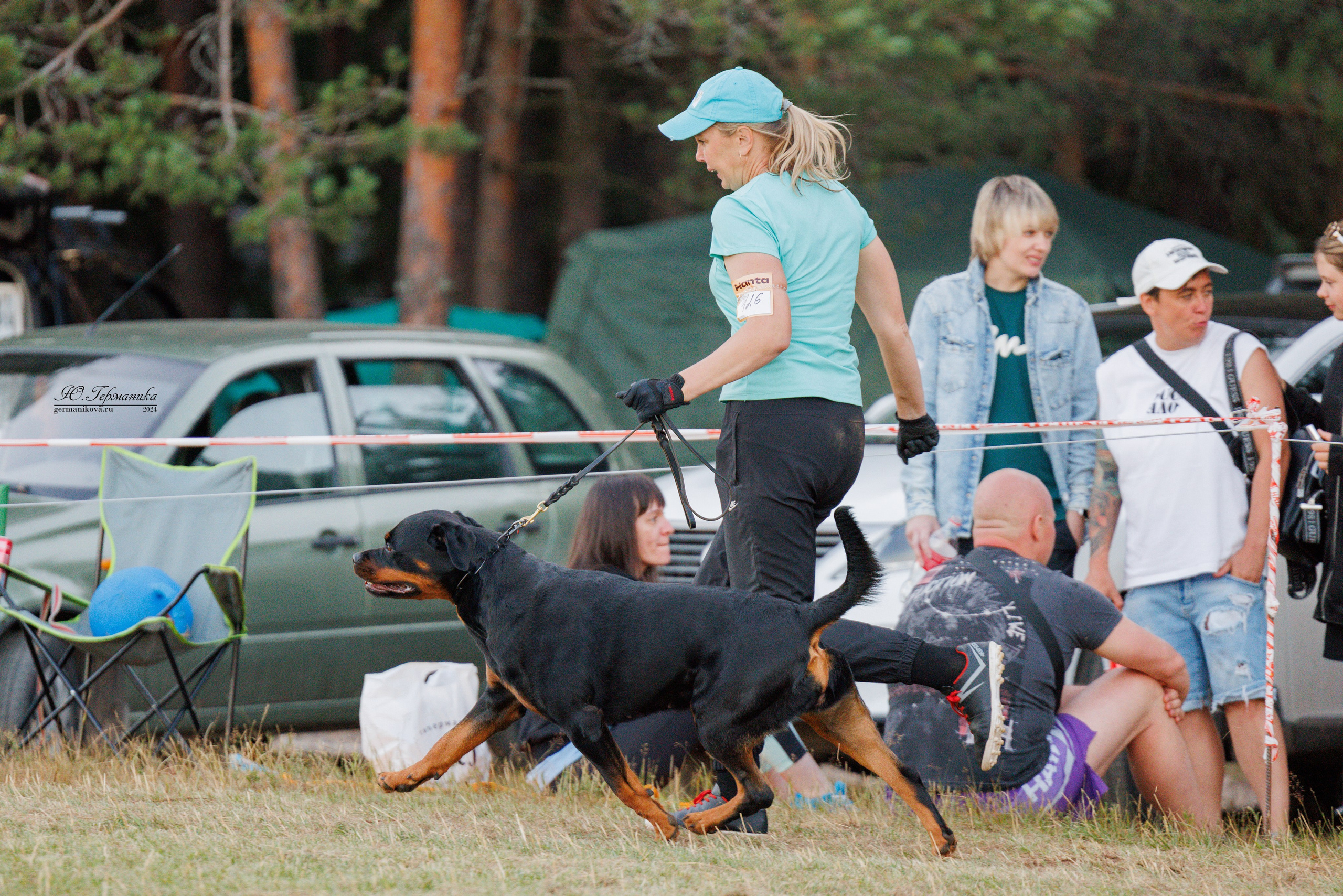 ПК и КЧК ротвейлеры Тверь 6-7.07.2024. Фотограф-анималист Юлия Германика