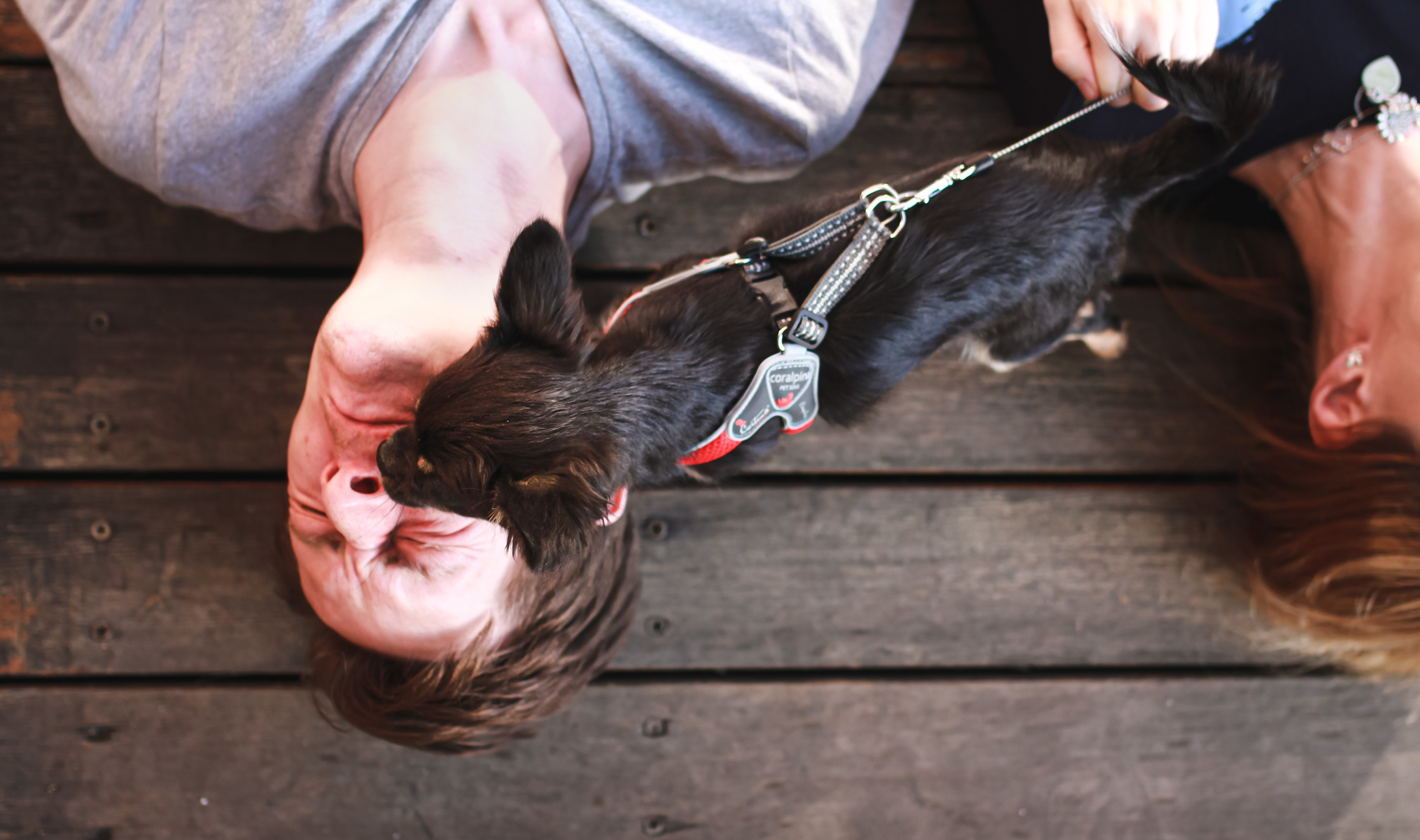 Ира и Антон. Семейный фотограф в Москве Ольга Комарова