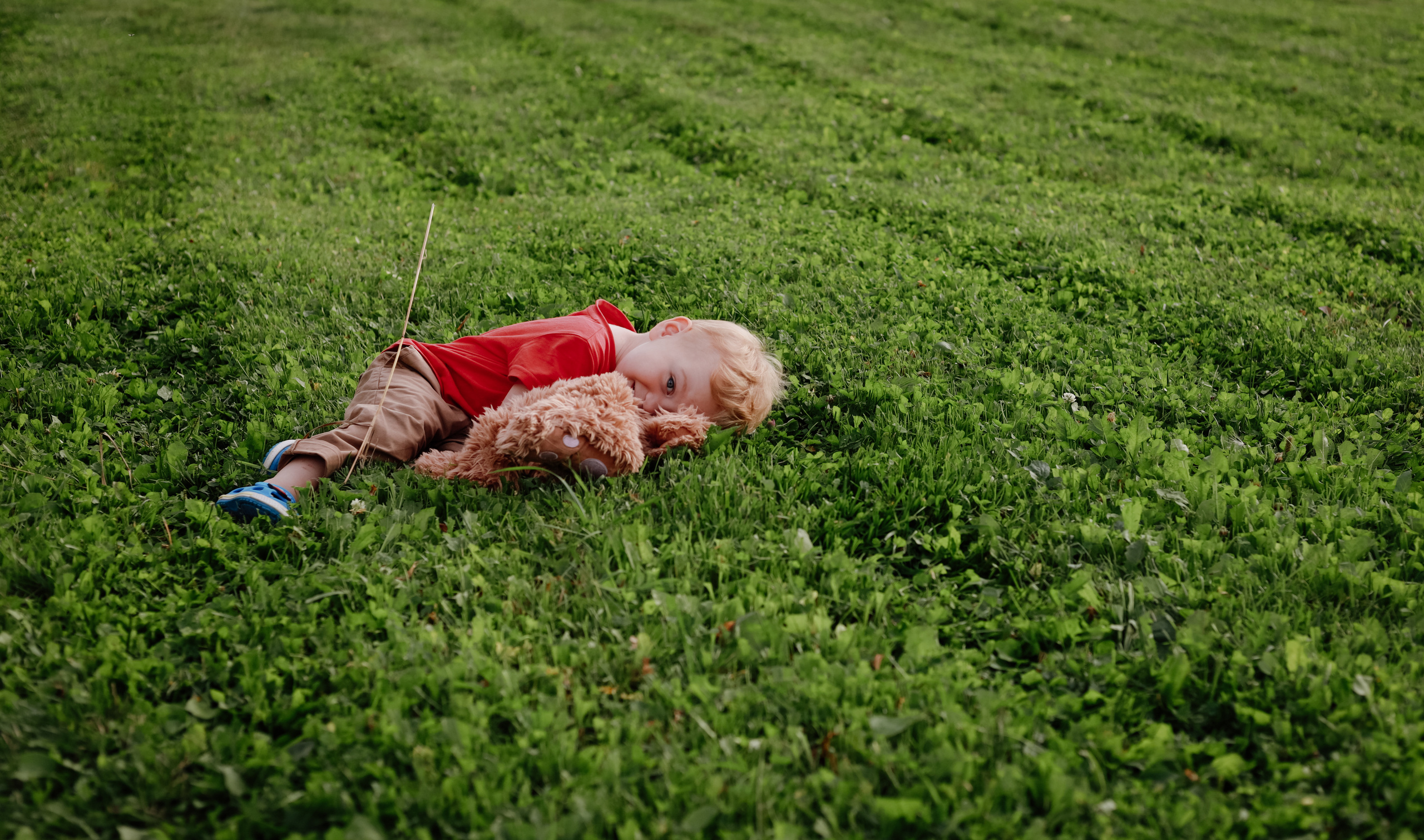 Даша и Роберт. Семейный фотограф в Москве Ольга Комарова