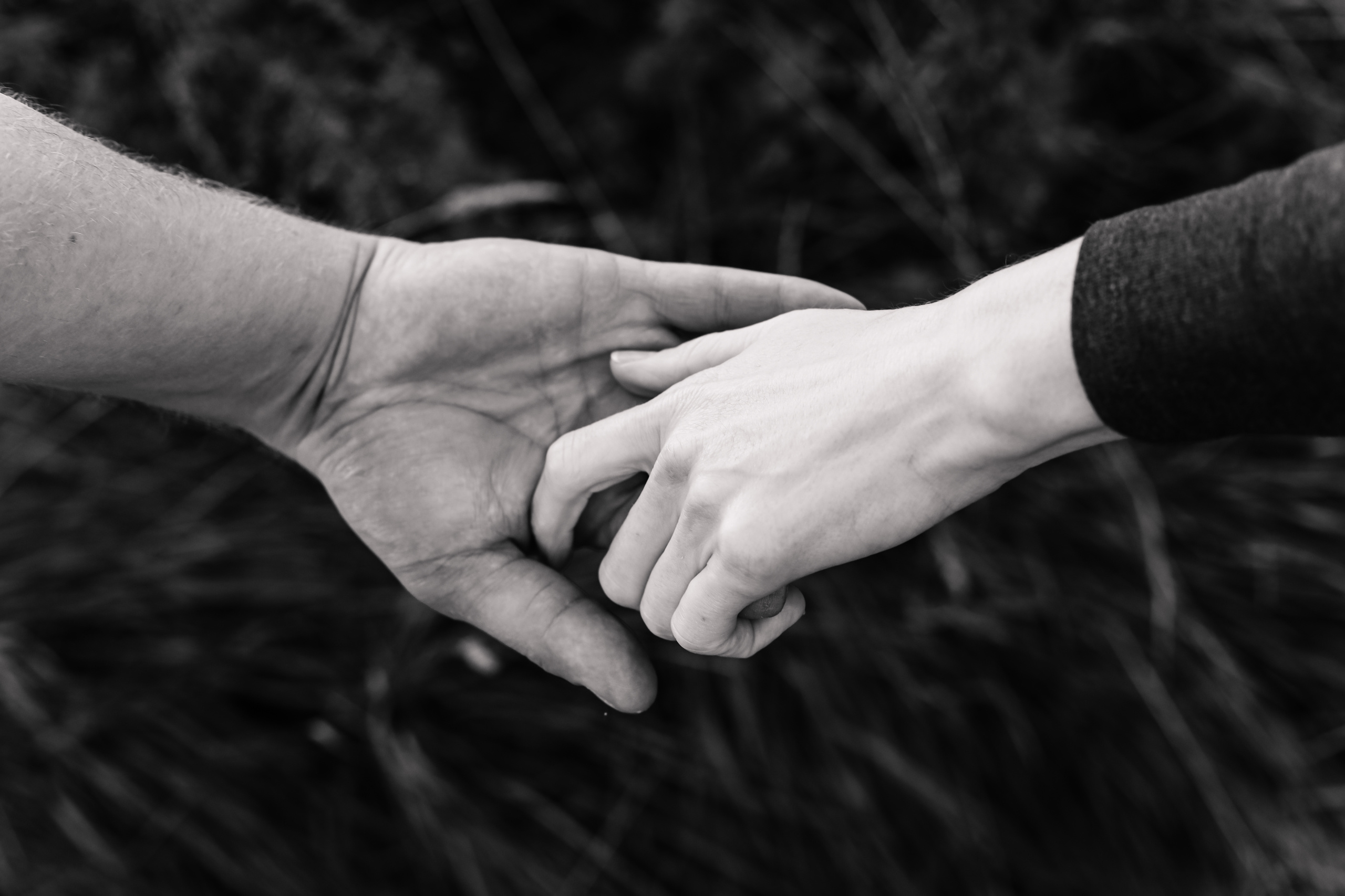 Дина и Кирилл. Семейный фотограф в Москве Ольга Комарова