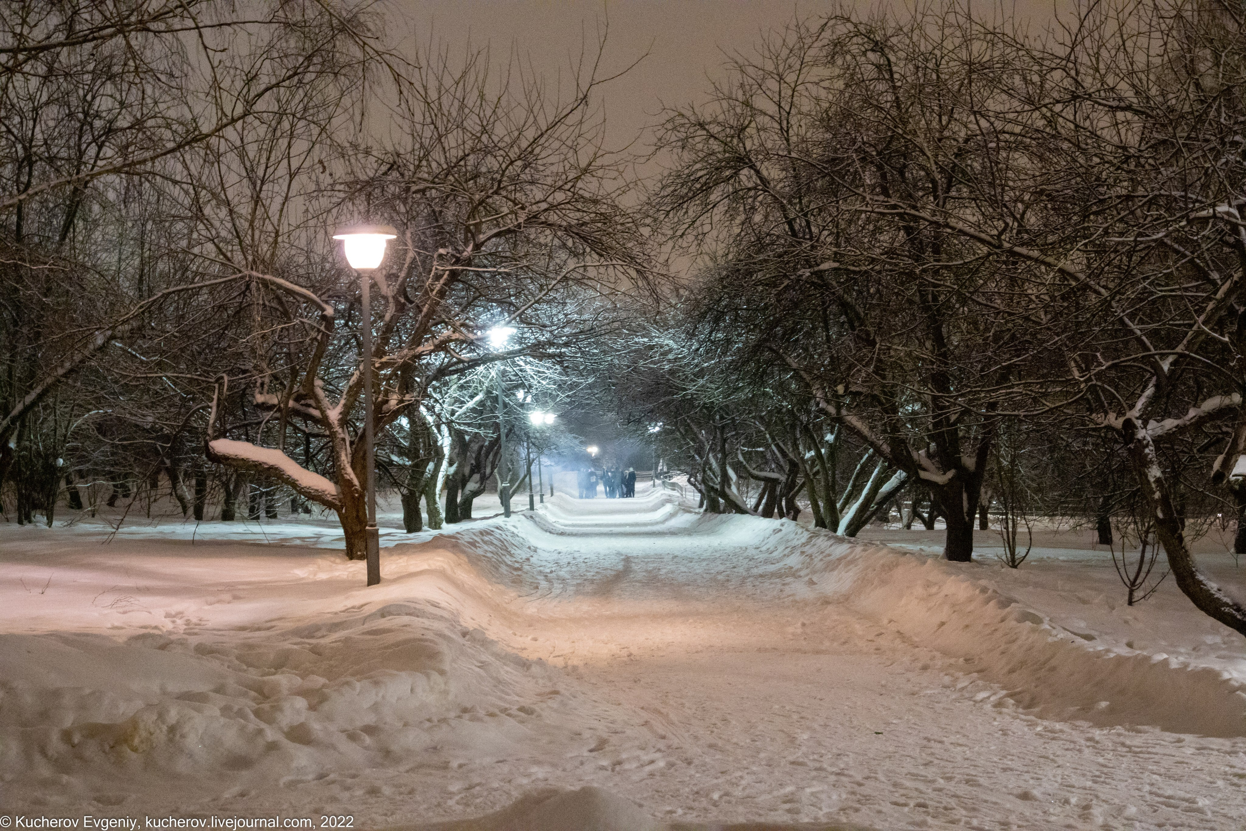 Природа. Кучеров Евгений. Фотограф