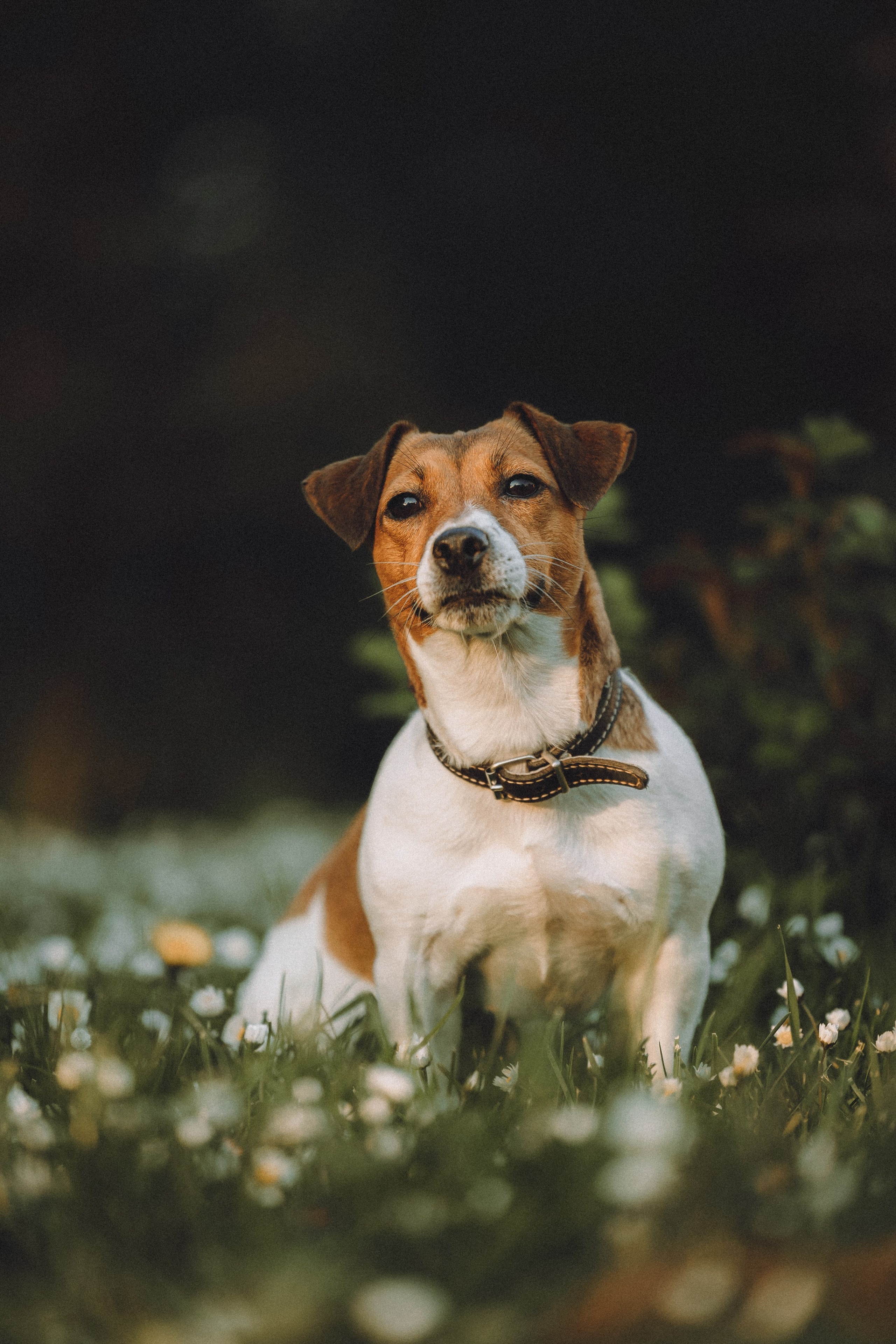 Шерри и ее семья