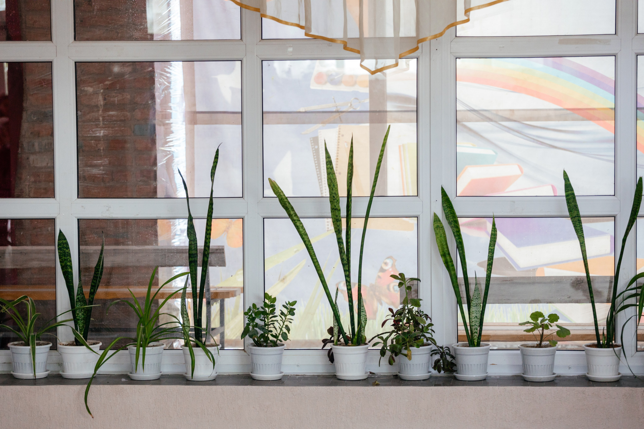 Фотограф на 1-е сентября. Свадебный и семейный фотограф в Краснодарском крае Мария Данилкина