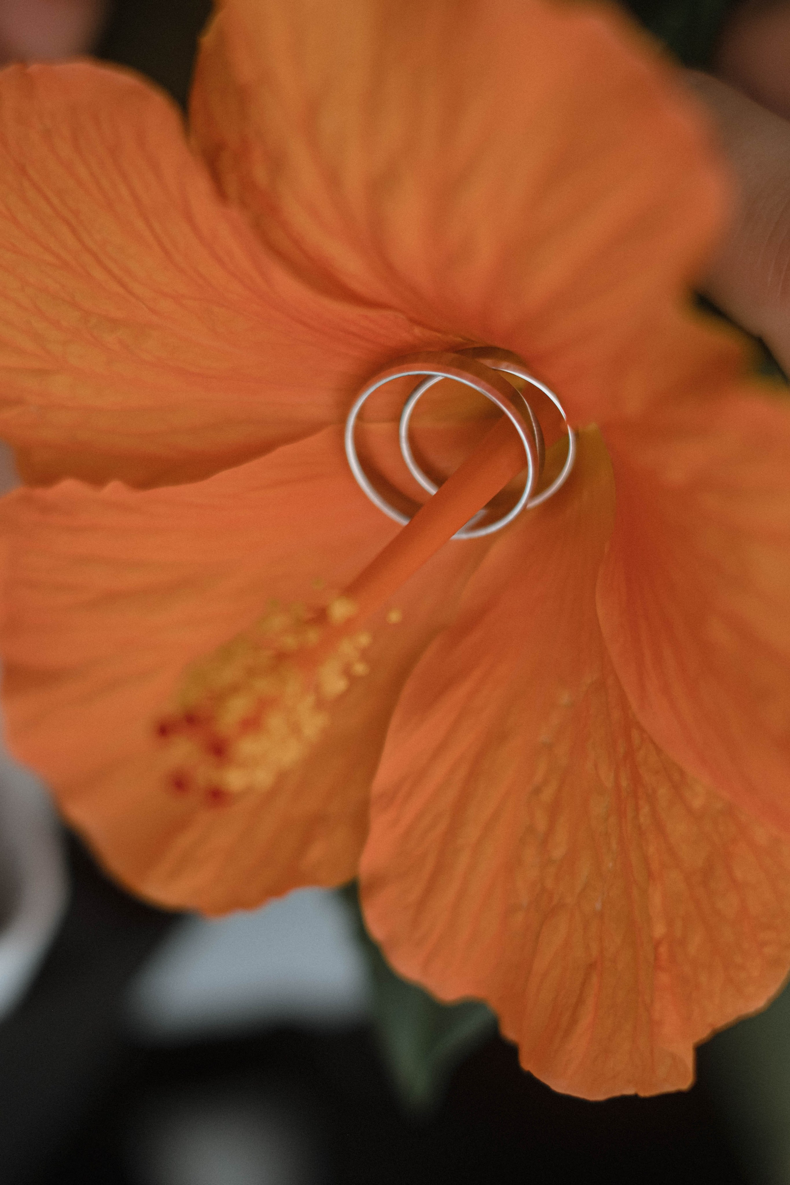 Дарья и Виталий. Свадебный и семейный фотограф г. Волгоград Биленко Ангелина