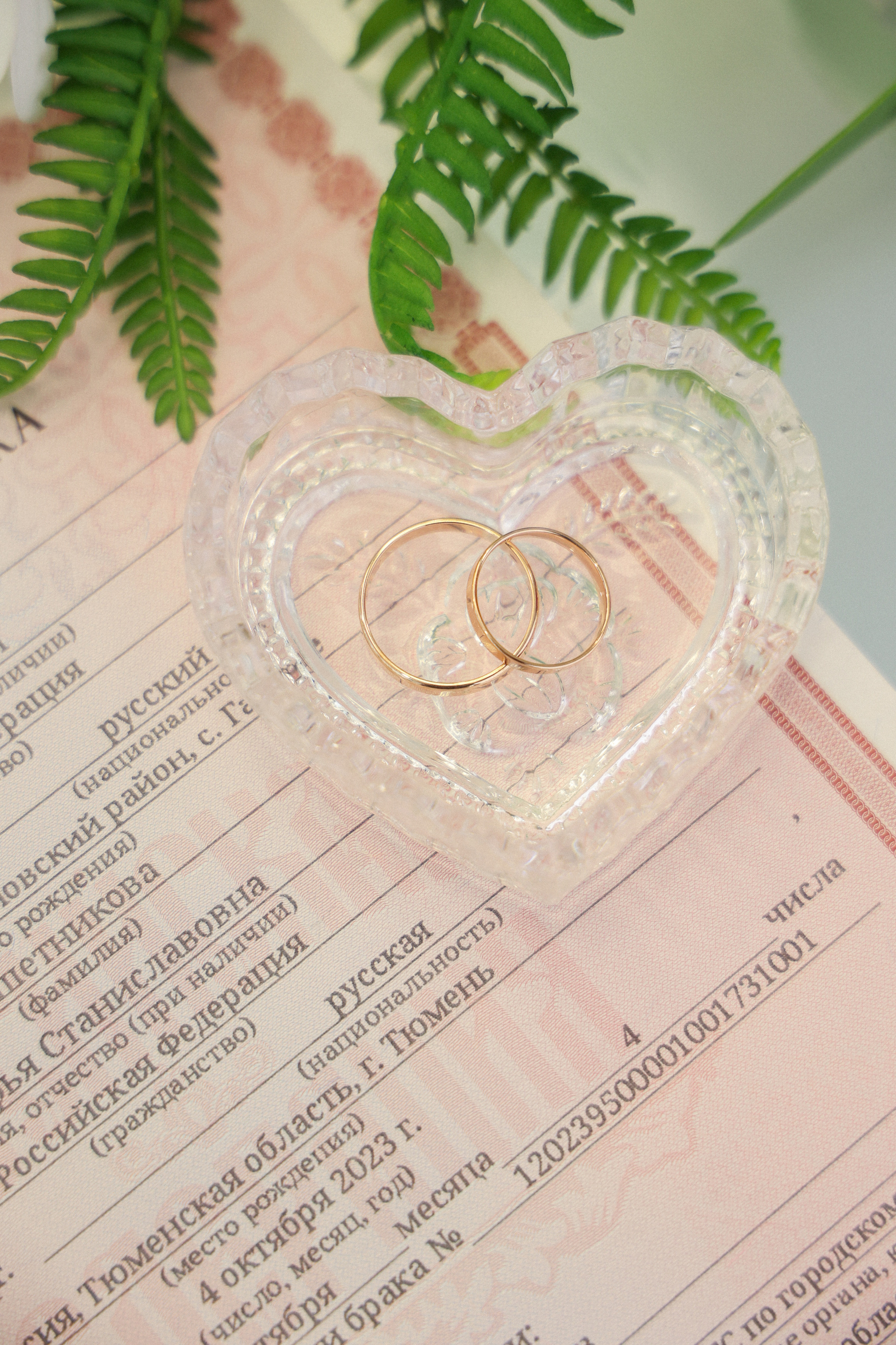 Артём и Софья. Фотограф Анастасия Кувшинова Москва