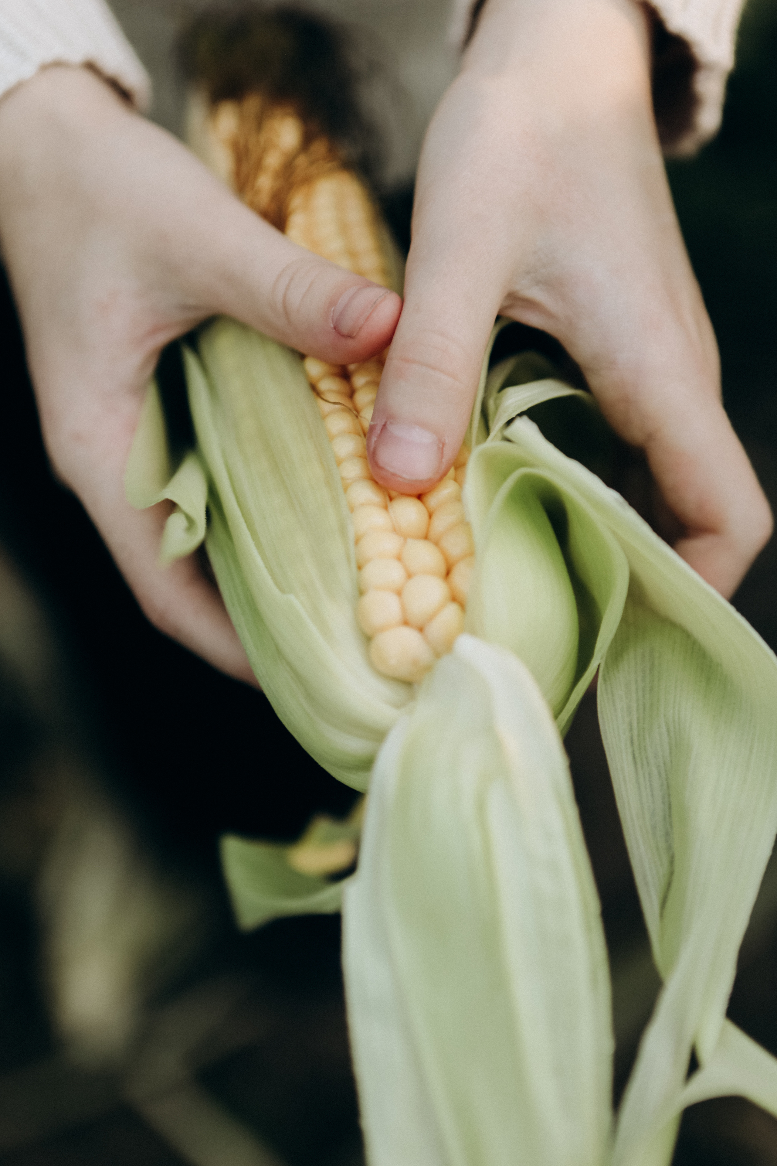 Анастасия и Саша. Фотограф Анастасия Кувшинова Москва