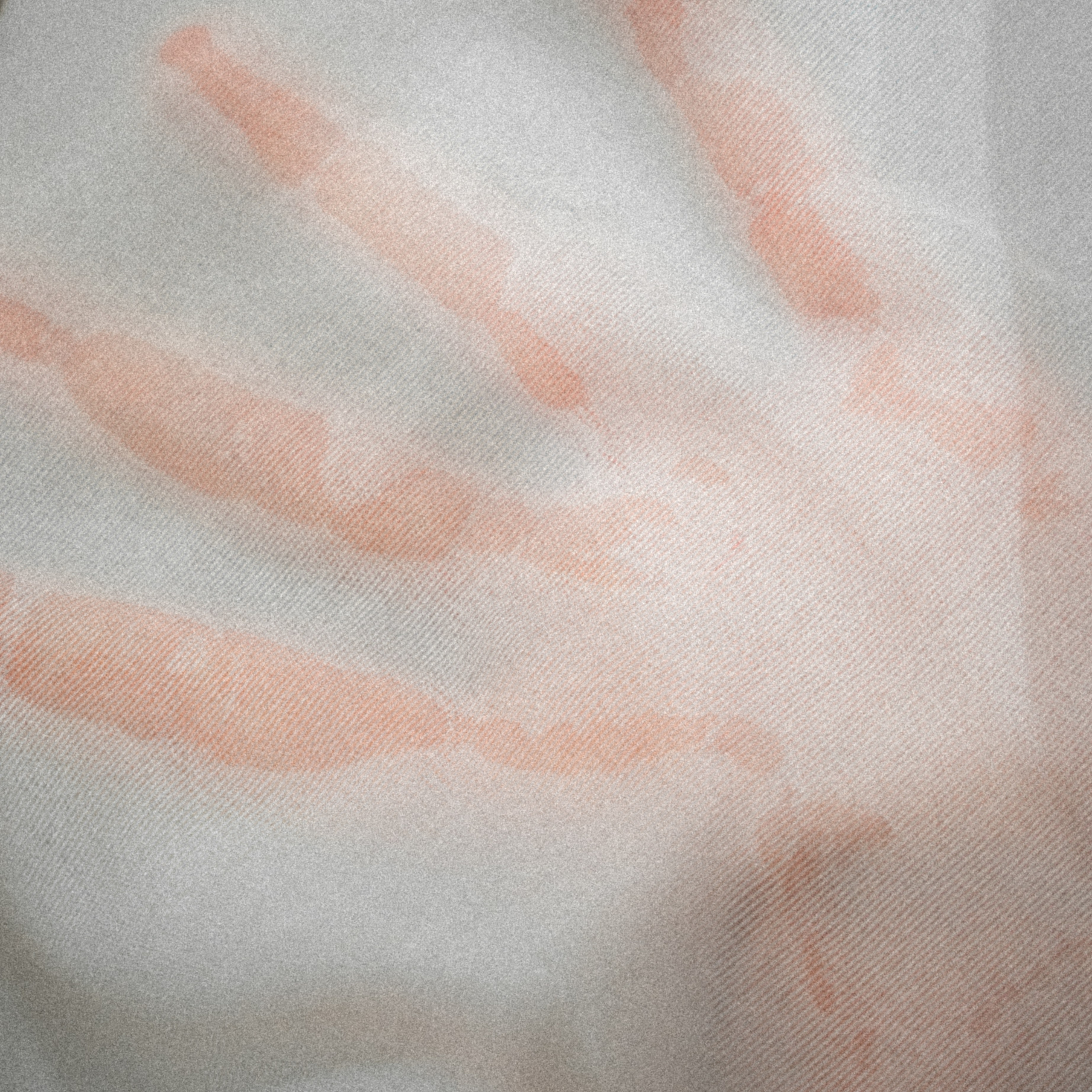 Daily. VISUAL ARTIST · KRONGAUZ ANASTASIA