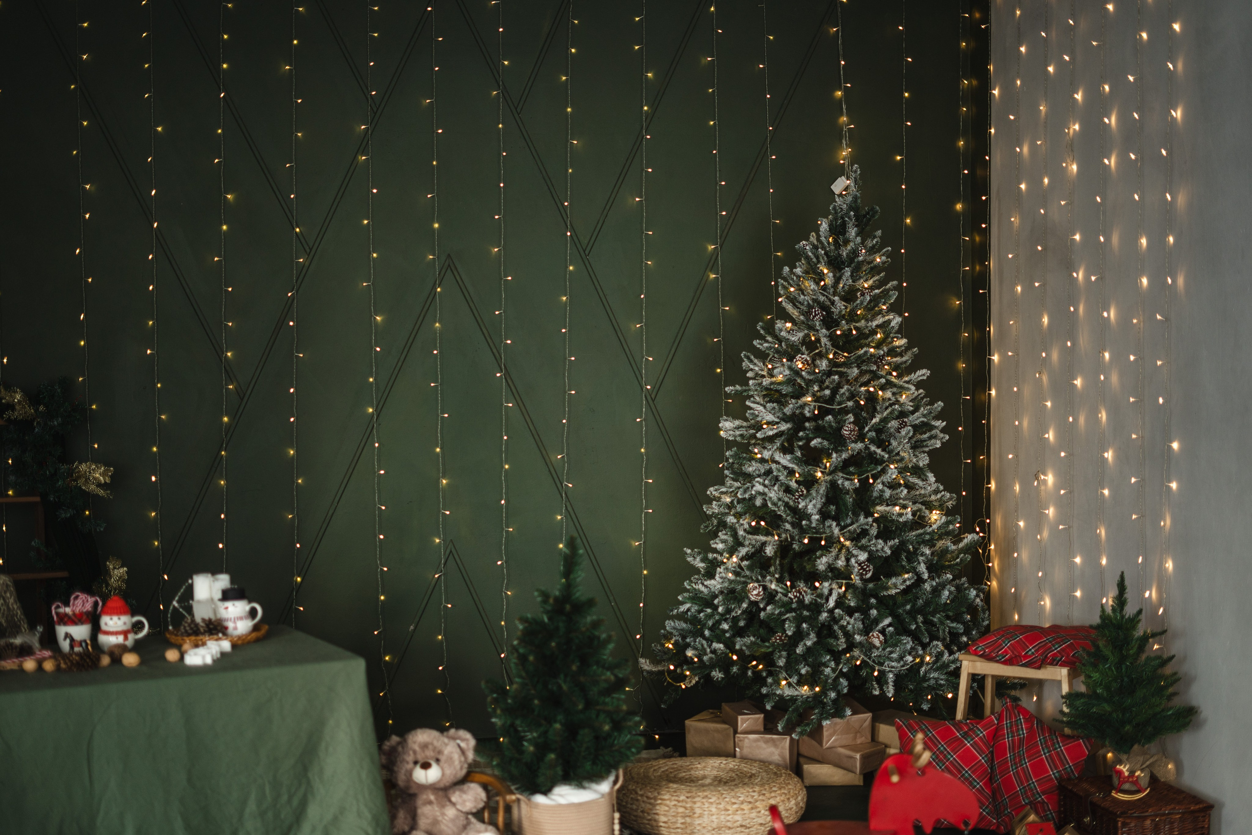 Фотостудия "Импульс" Саратов новогодняя фотосессия