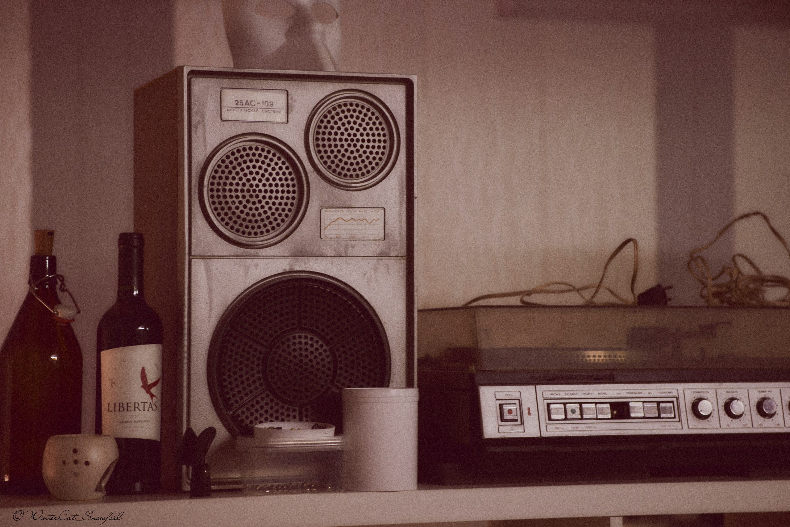 2024(33). Портретный и репортажный фотограф в Магадане Андрей Нефедов WinterCatPhoto