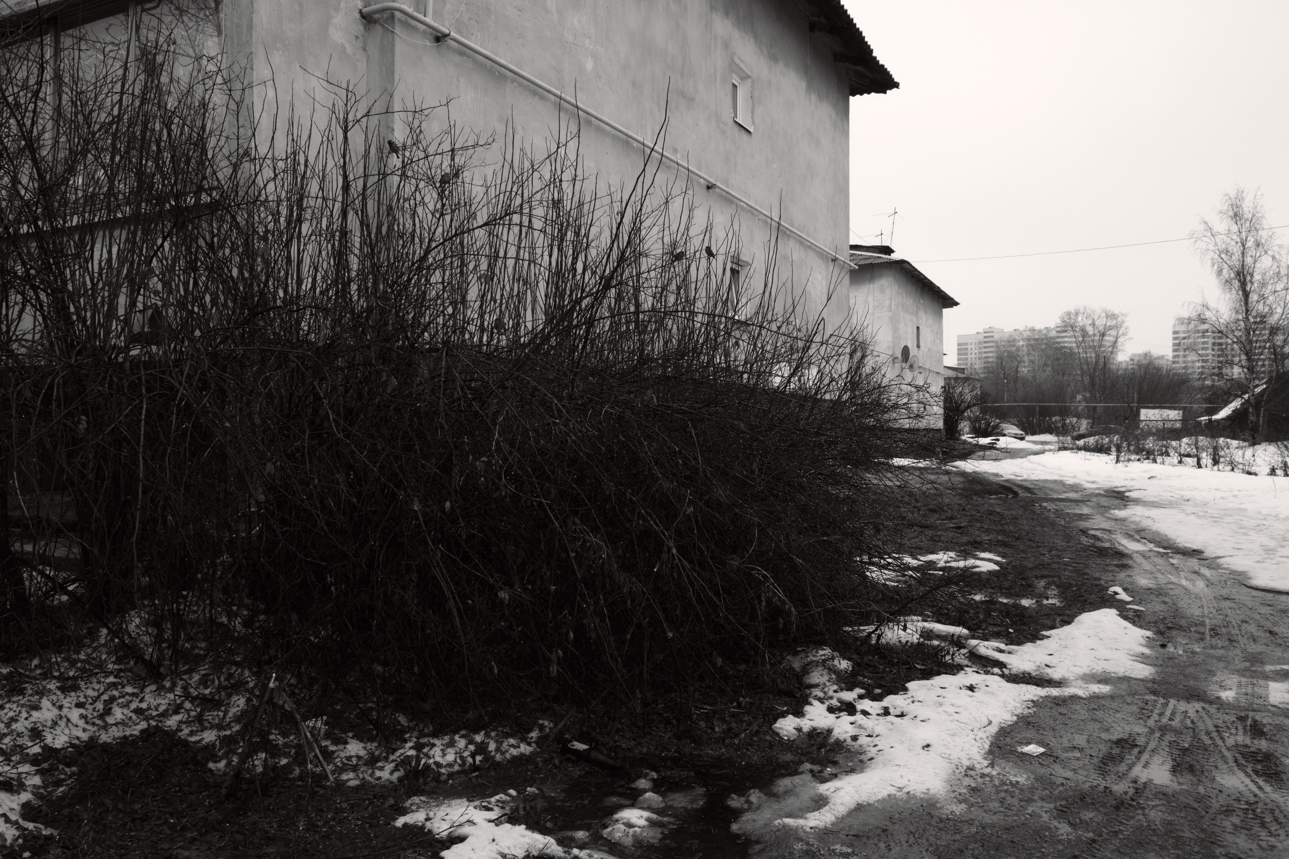 уличная фотография в мире современного искусства