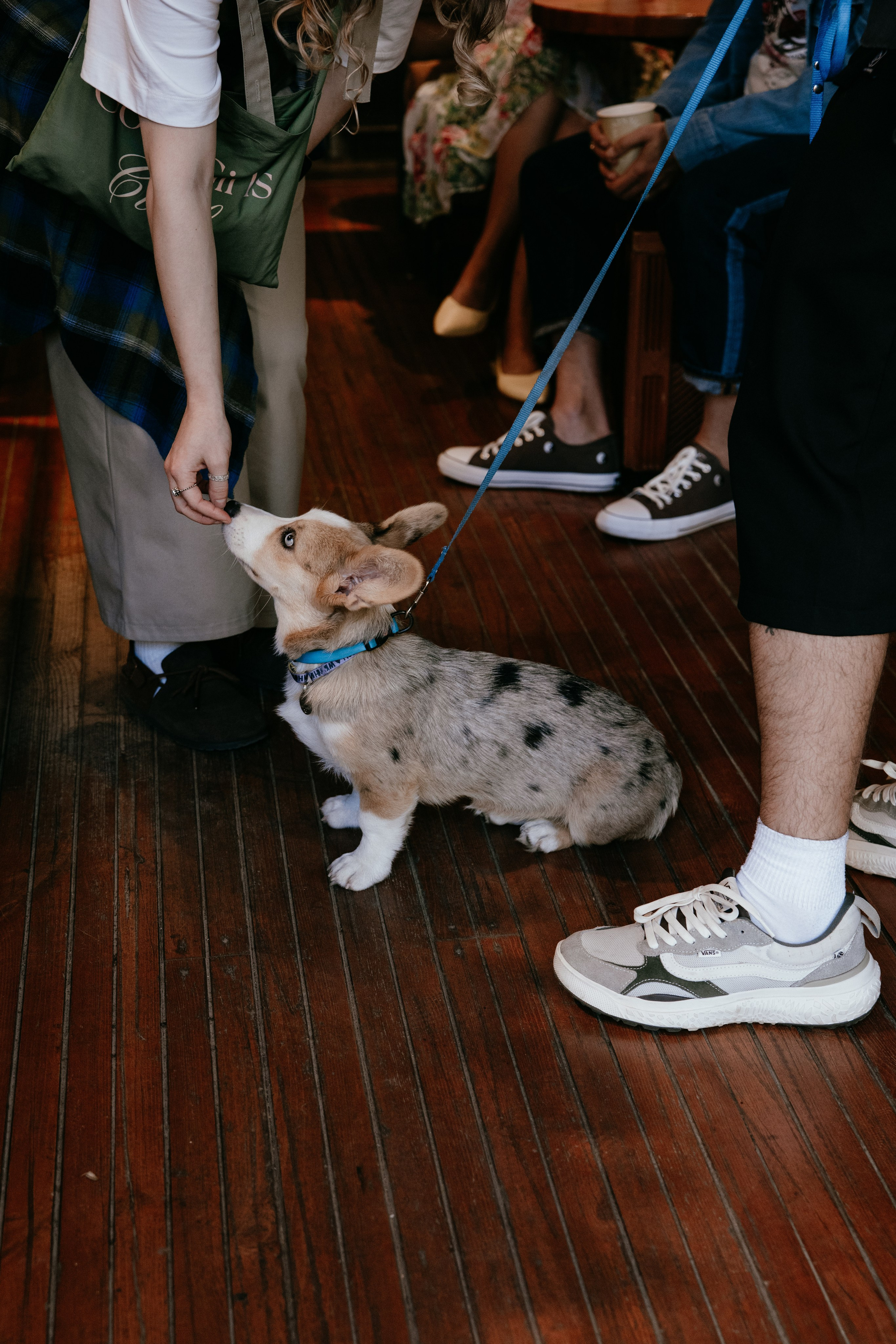 Не все дома