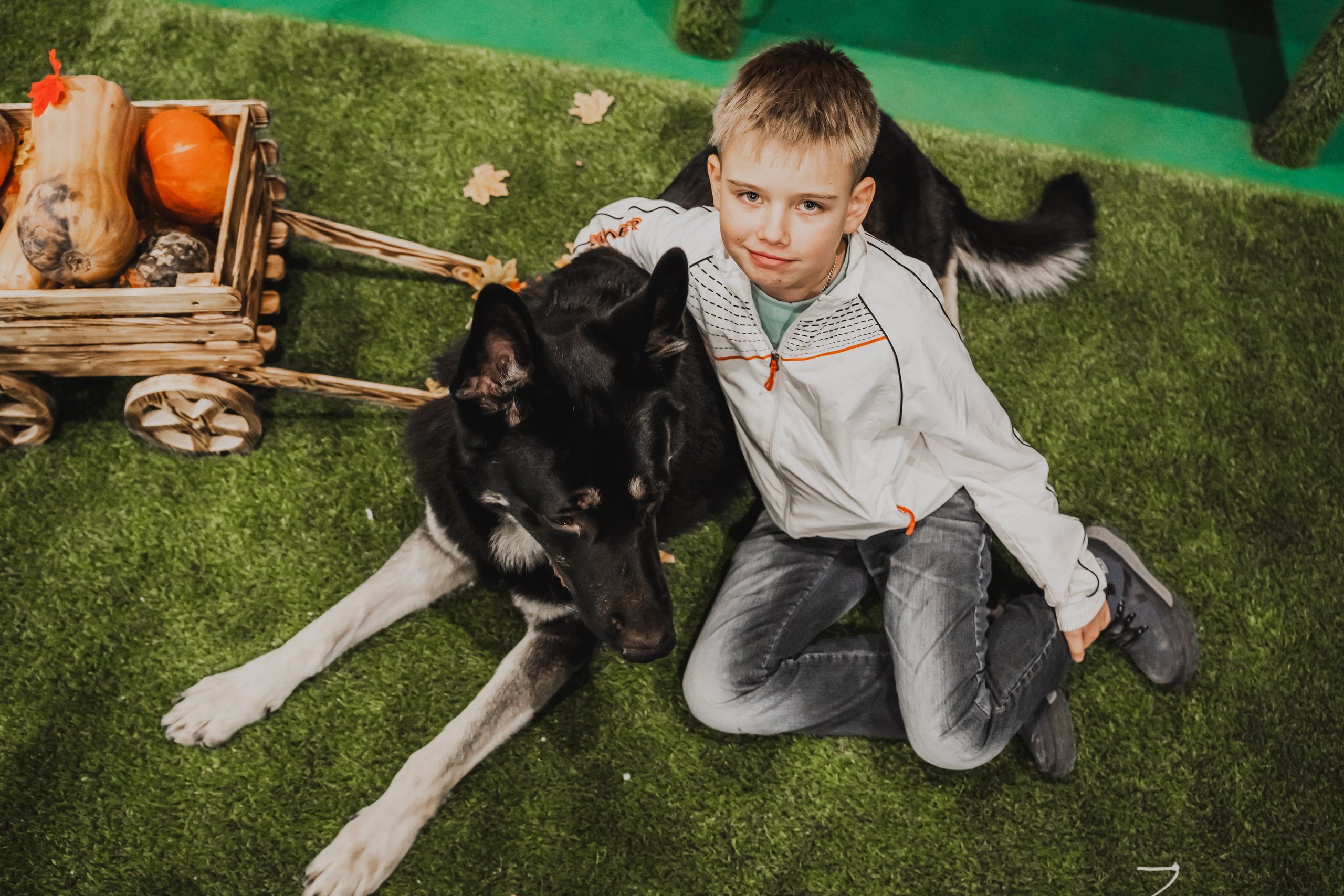 Международная выставка собак всех пород. Репортажный фотограф Анастасия Рубцова