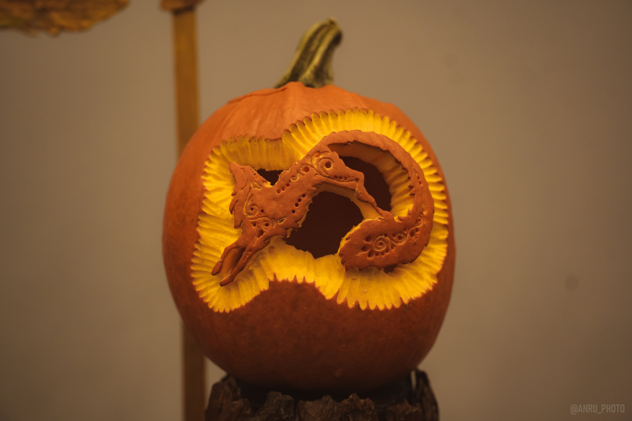 Fox Family fest. Репортажный фотограф Анастасия Рубцова