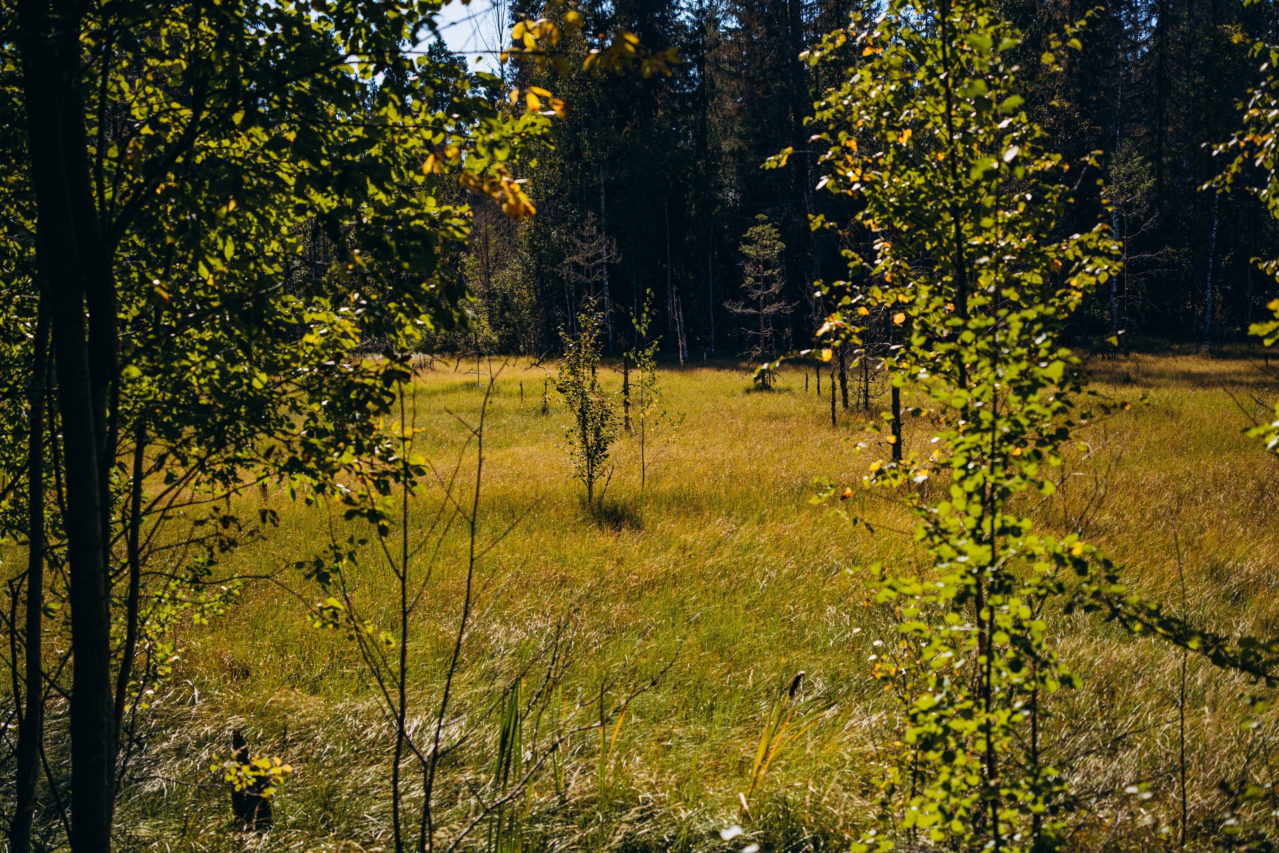 СЕВЕР. Event фотограф Степанова Александра