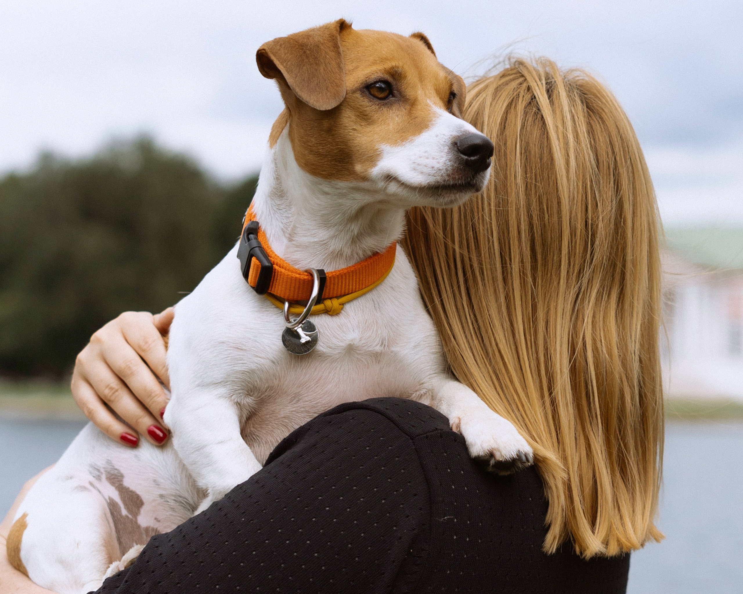 Катерина и Бруки. Фотограф в Москве Шалышко Ангелина