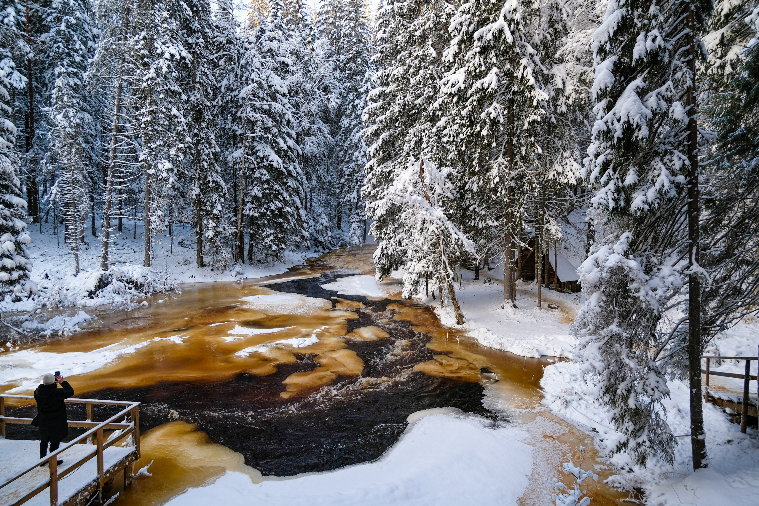 Стрит. Фотограф в Москве, фотожурналист Александр Малахов