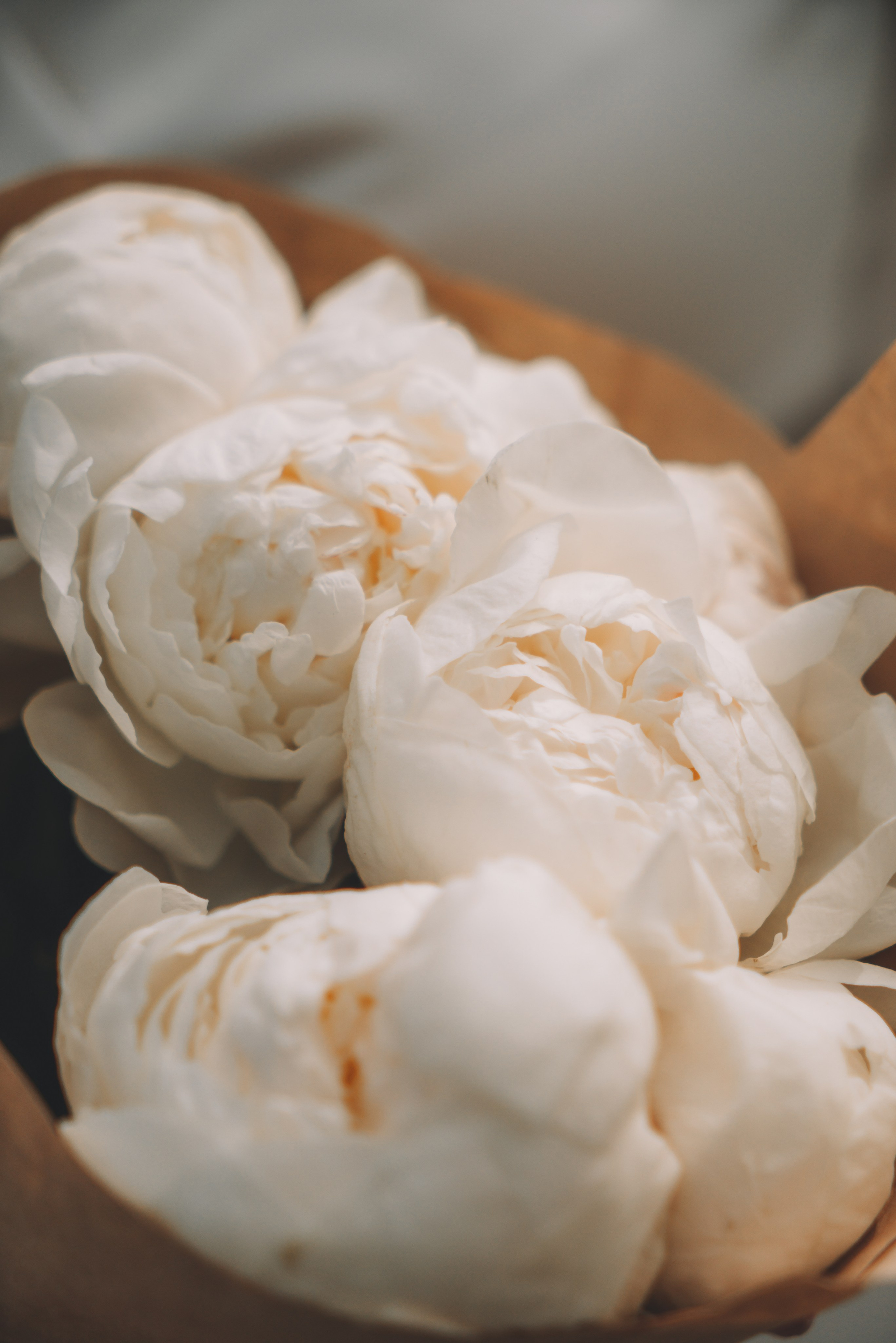 Свадебные съемки. Репортажный и свадебный фотограф в Москве Дарья