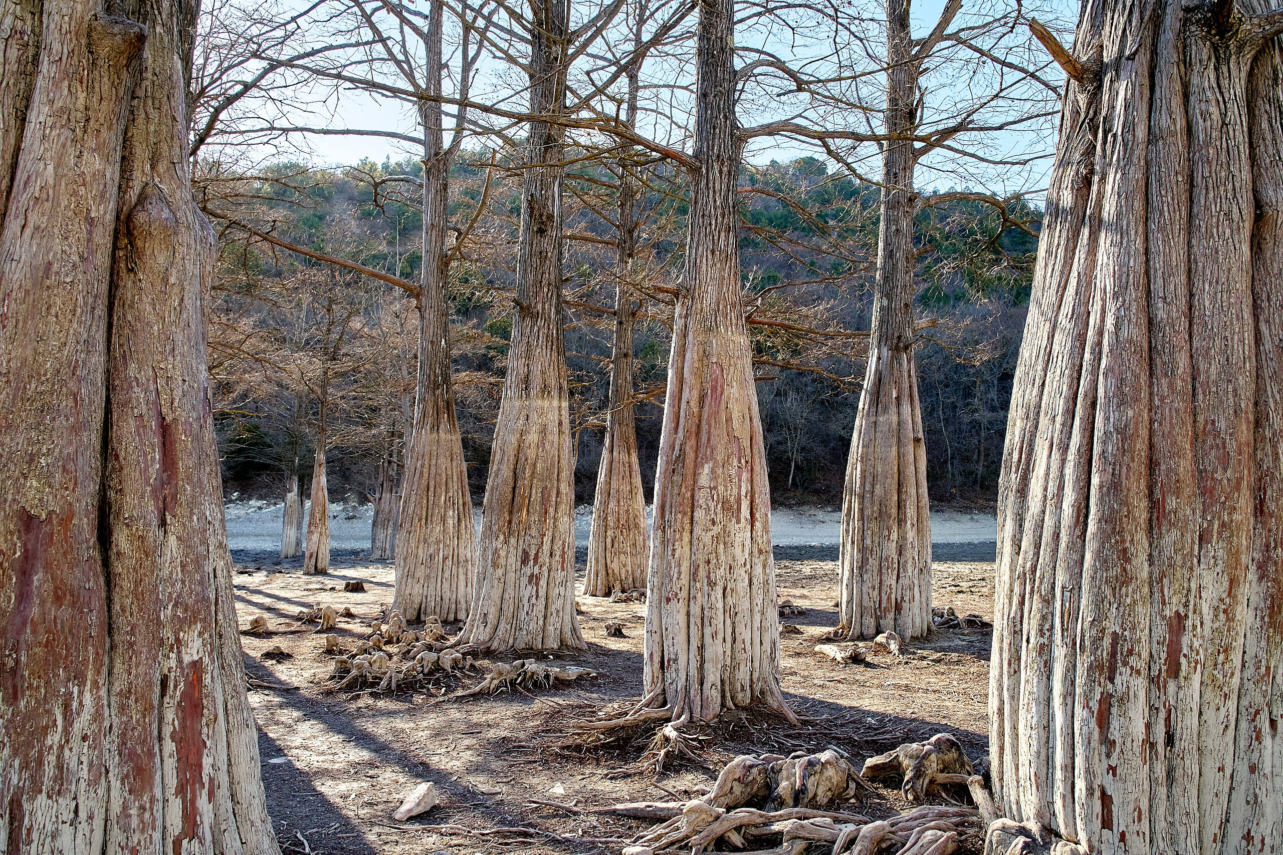 Фото- видео- съемка. Краснодар, Краснодарский край, Крым. Петр Ступень. Свадебное, семейное фото и видео. Москва. Краснодар