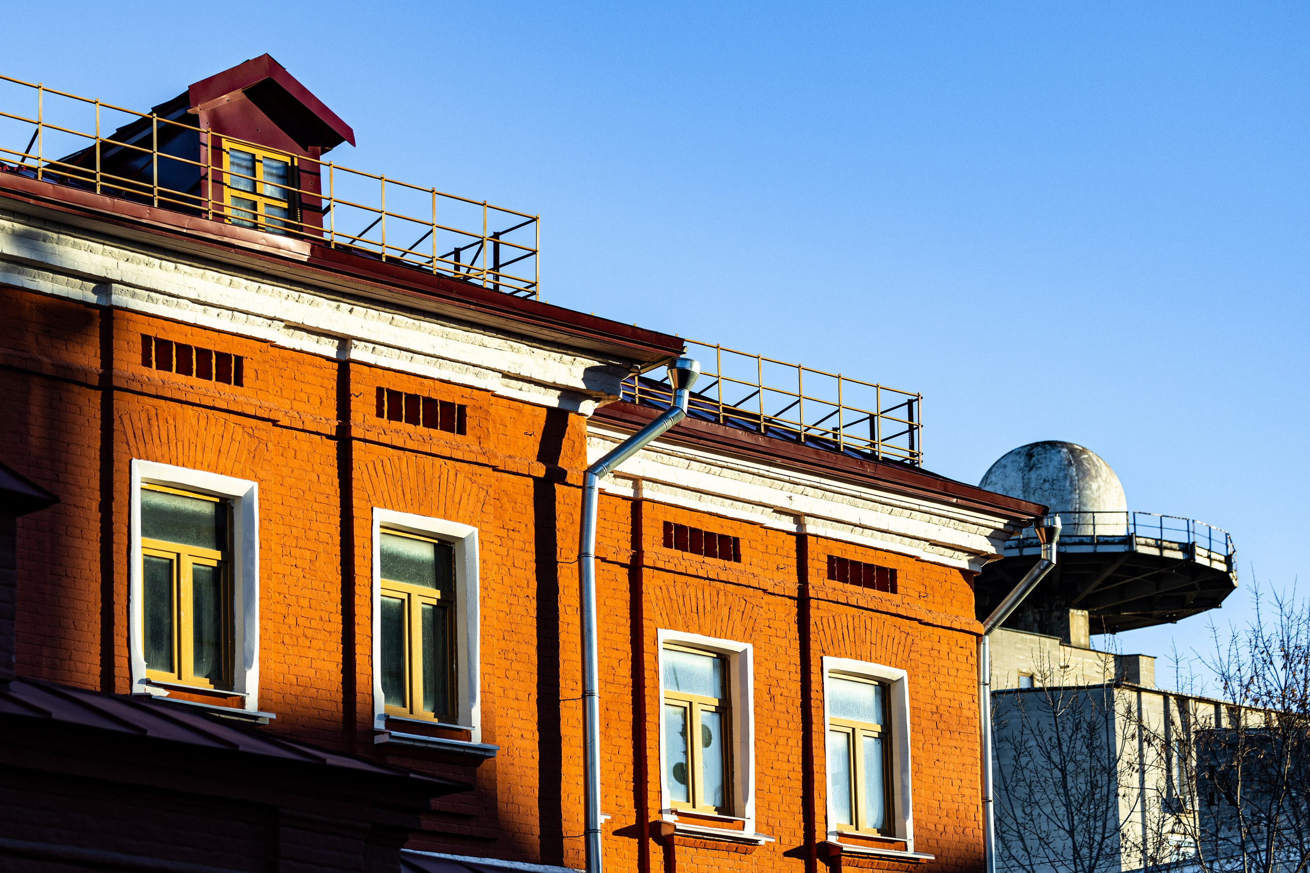 Москва, Январь 2025. Детали. Фотографирую жизнь! Московский фотограф волонтер