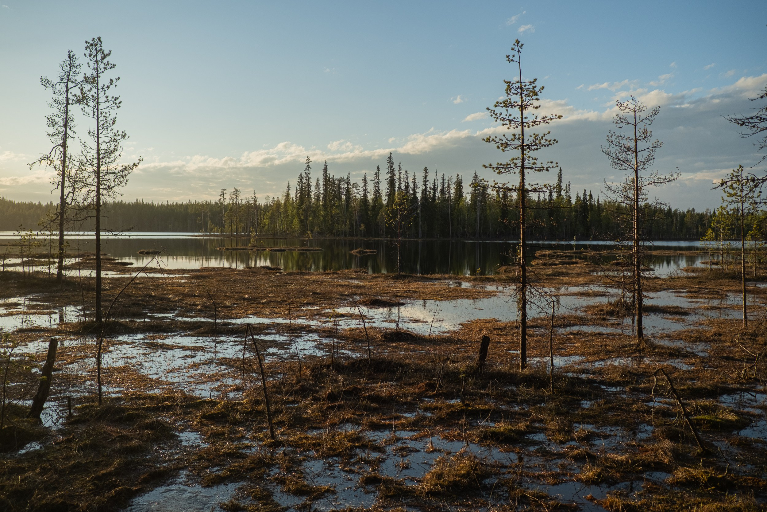 Северные дневники. Алиса Северная. Визуальные исследования. Пейзажная и документальная фотография
