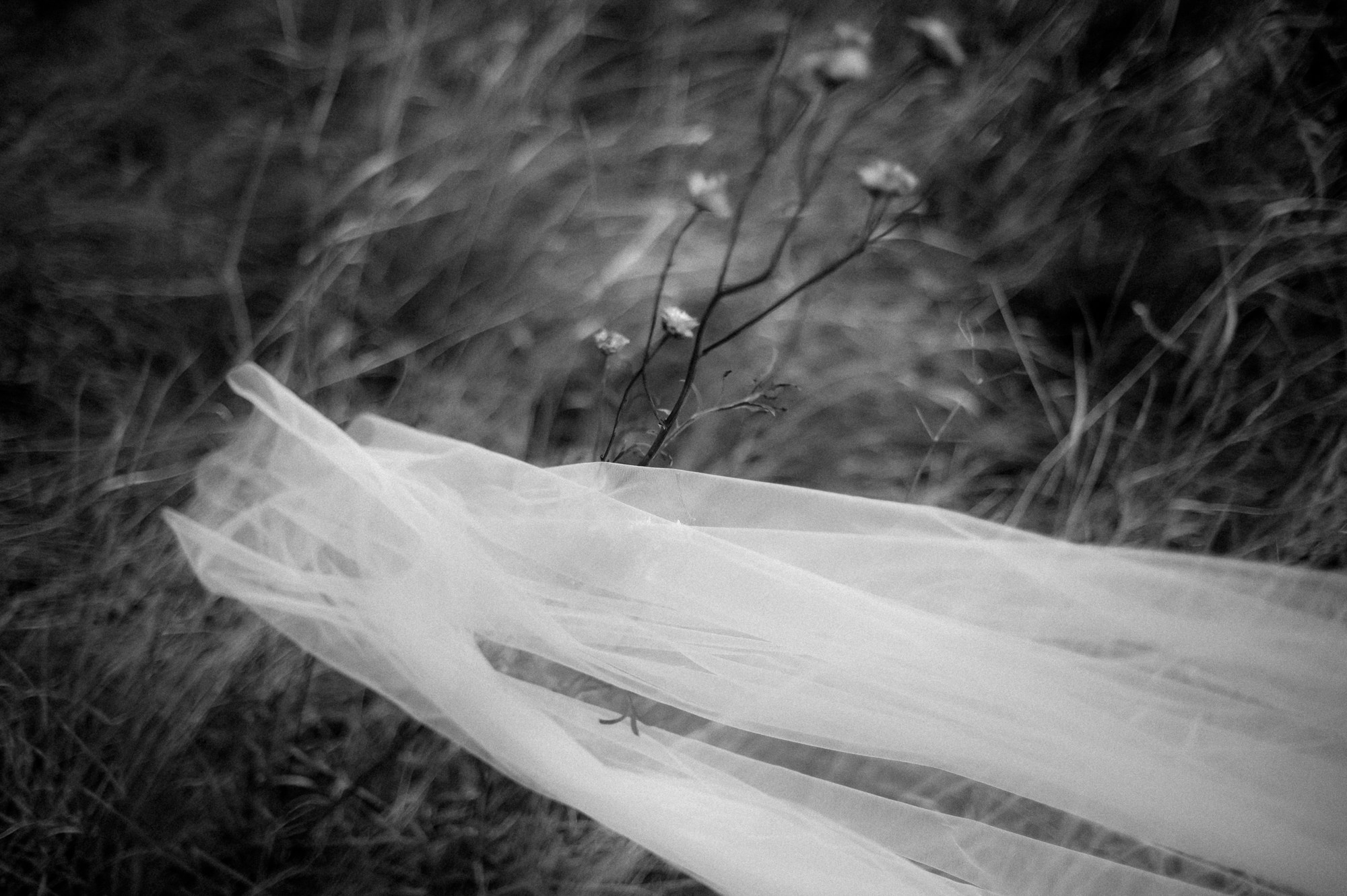 ЧЁРНО-БЕЛАЯ ИСТОРИЯ. Свадебный фотограф в Ставрополе Сергей Шляхов