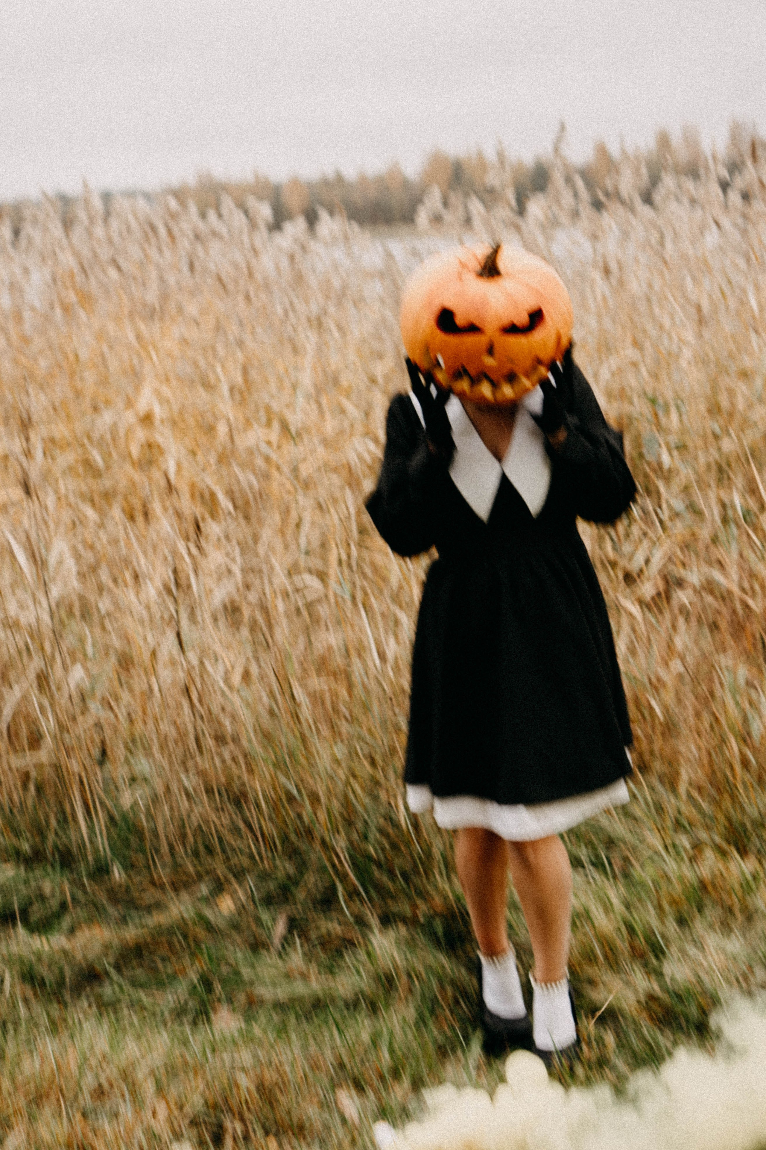 Осеняя. Профессиональный фотограф, Санкт-Петербург — Виктория Богомолова