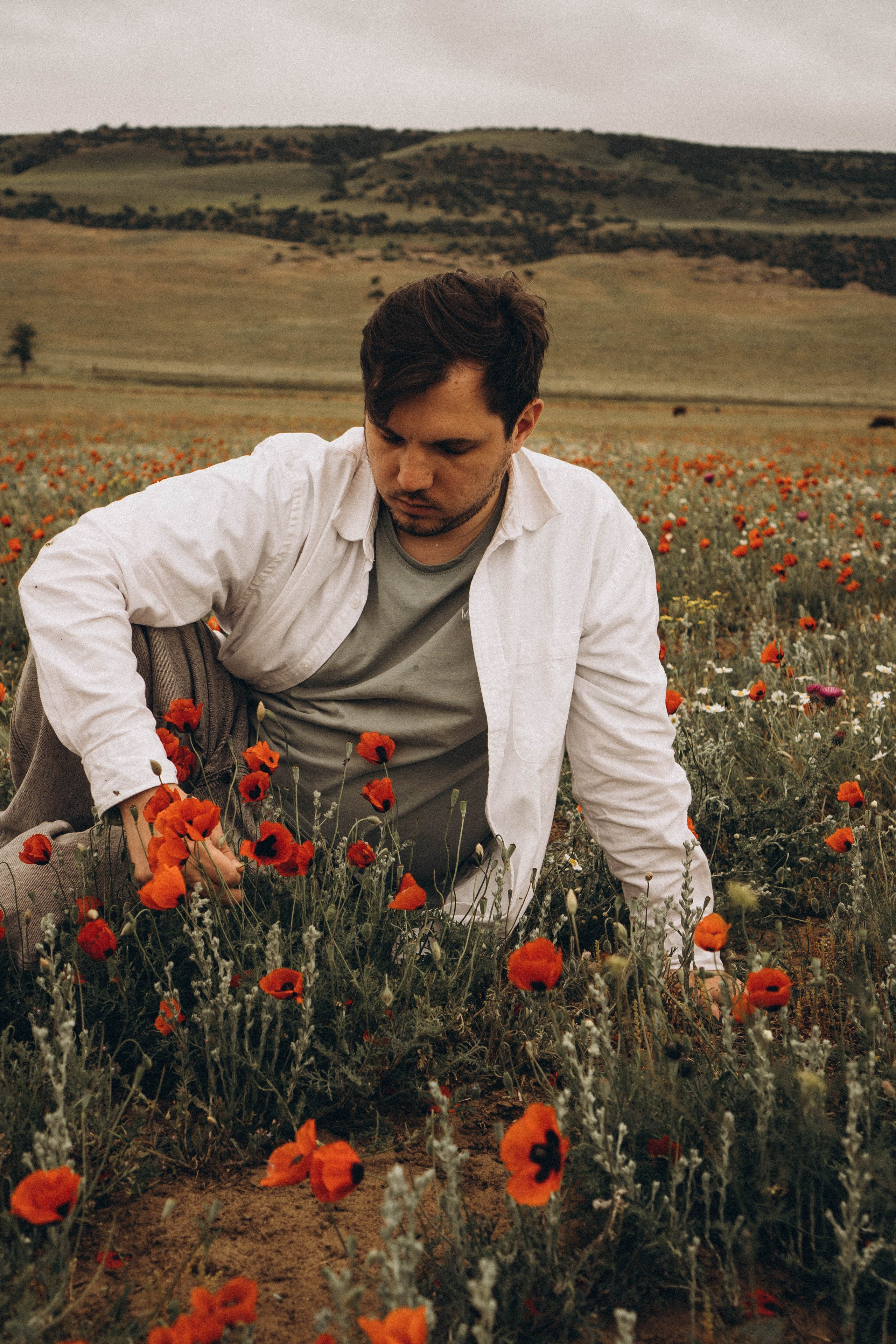 Маки. Профессиональный фотограф, Санкт-Петербург — Виктория Богомолова