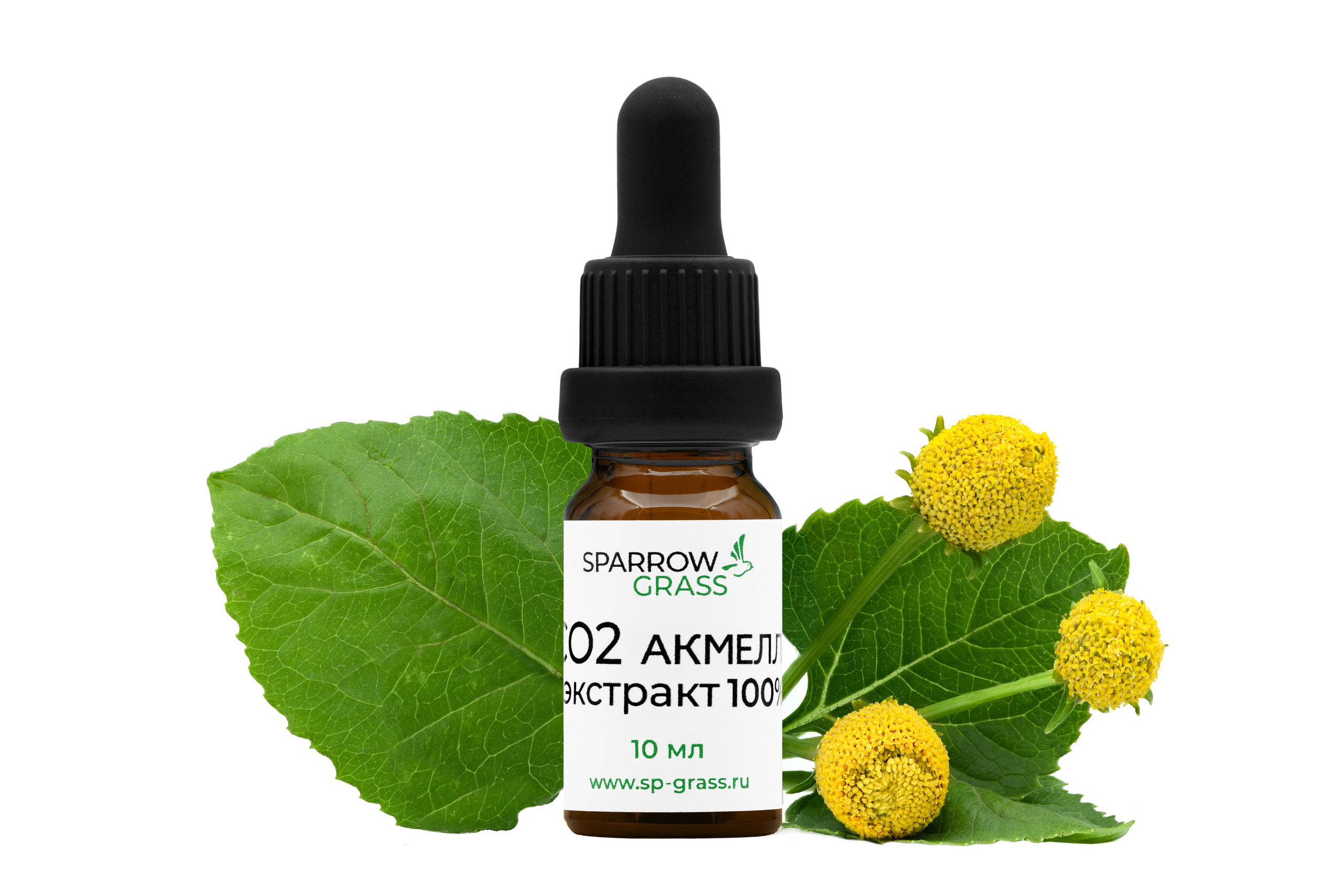 На белом фоне. Предметный и фуд фотограф в г. Белгород