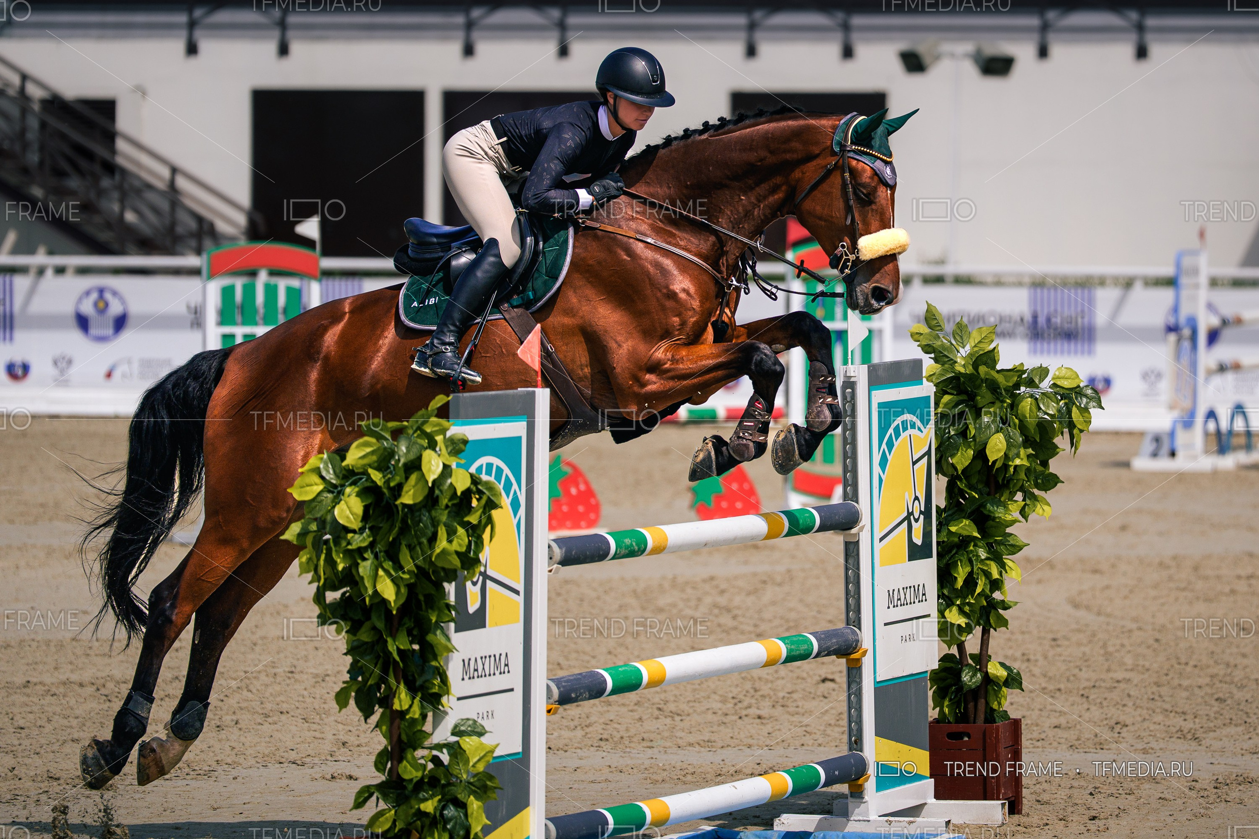 Евразийские Игры 2025, Maxima Park — конкур, прыжок лошади через препятствие, профессиональная фотосъёмка TrendFrame
