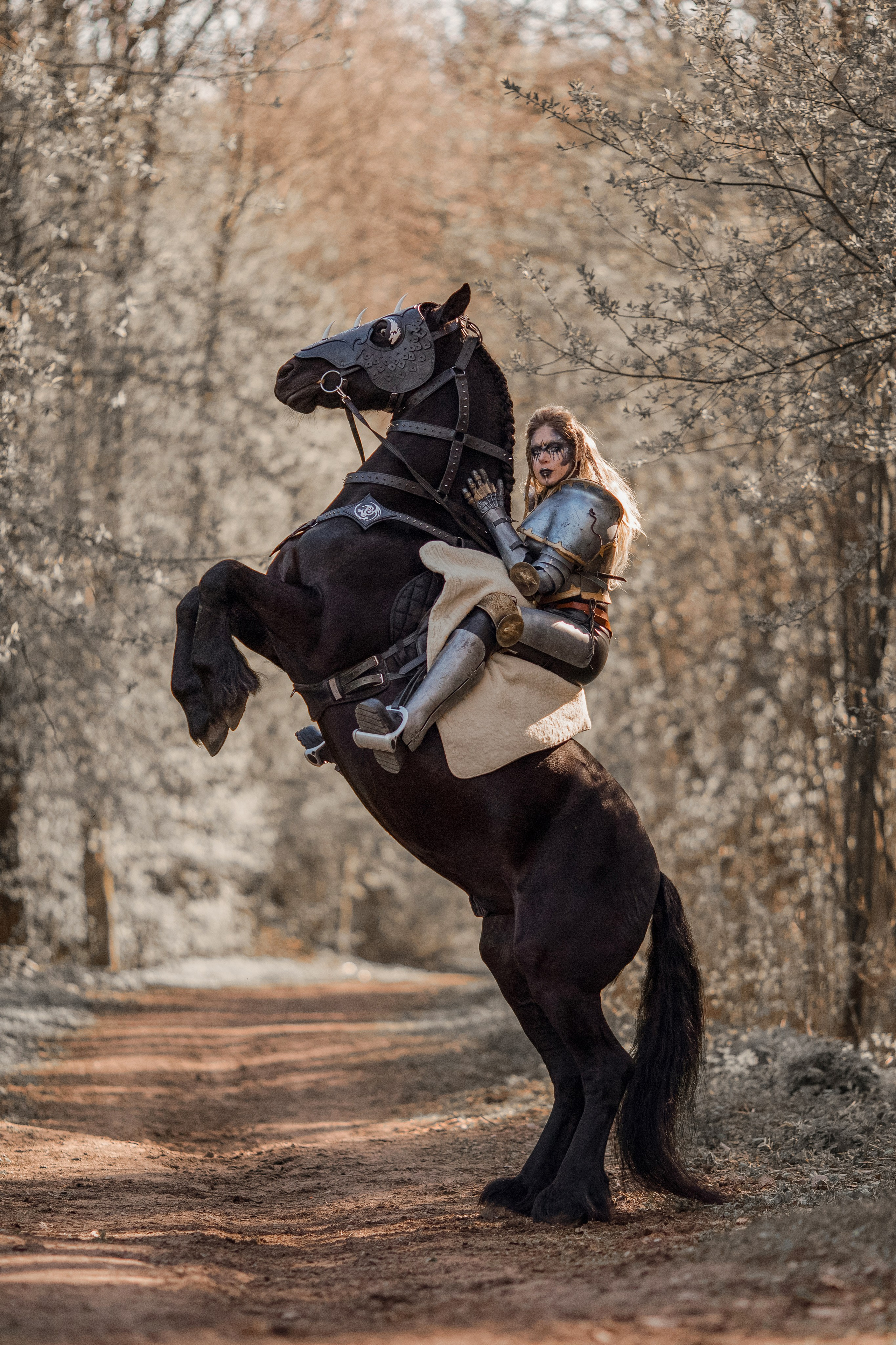 Фотосессия в рыцарских доспехах с лошадью