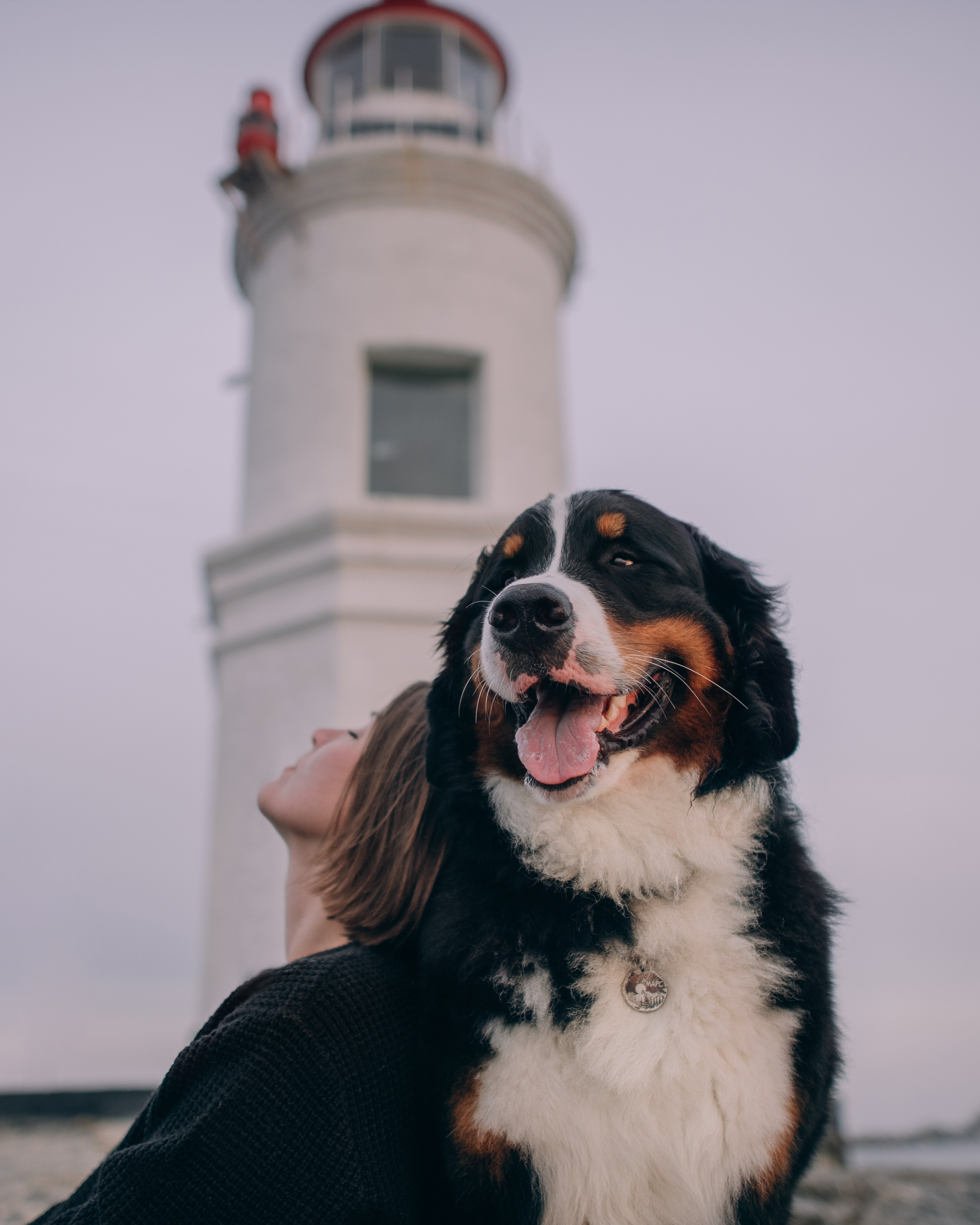 Владивосток: Марс и Маша. Портфолио