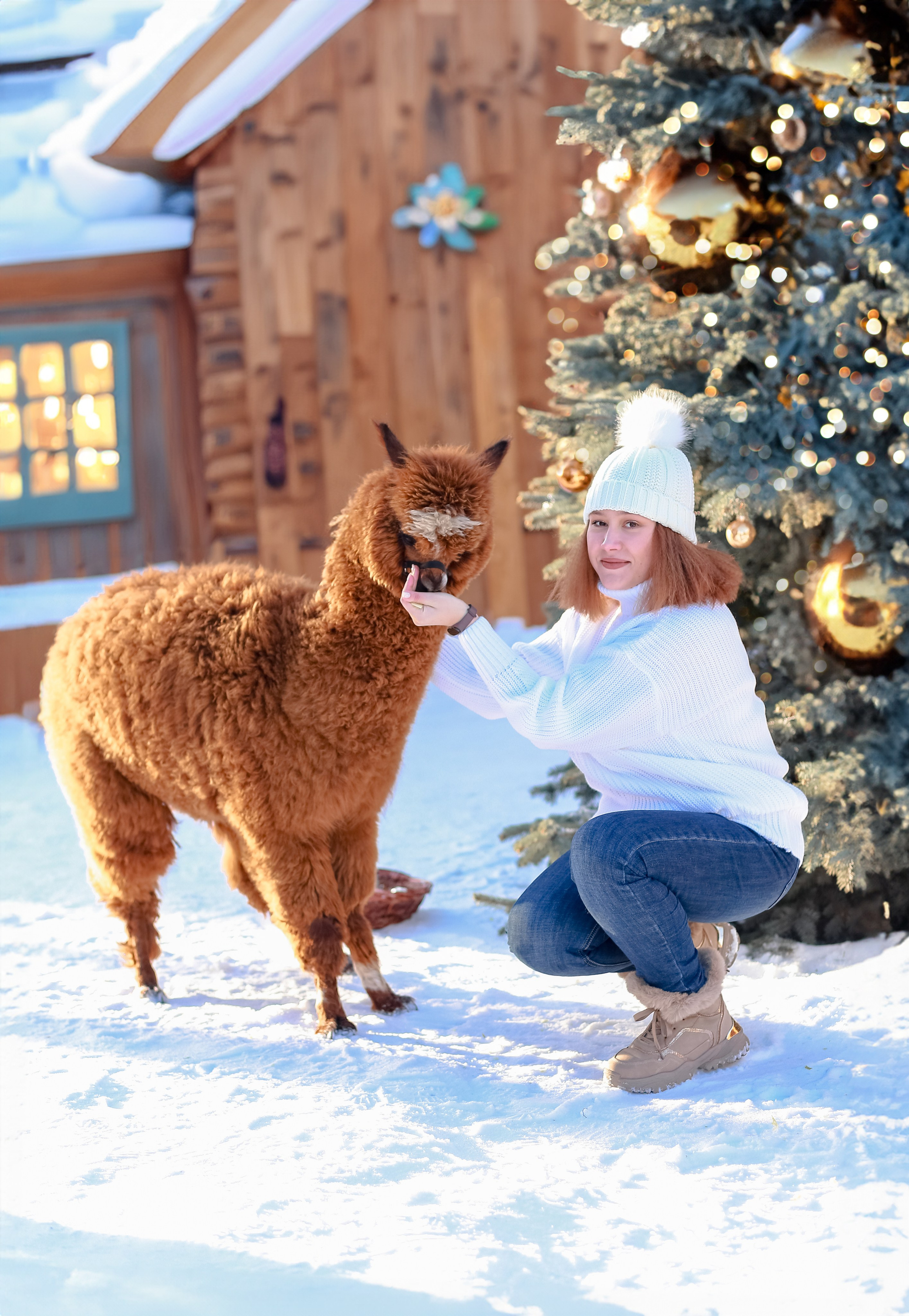 Семейная съемка с Альпакой!. Иванова Ирина Свадебный и семейный фотограф г. Уфа