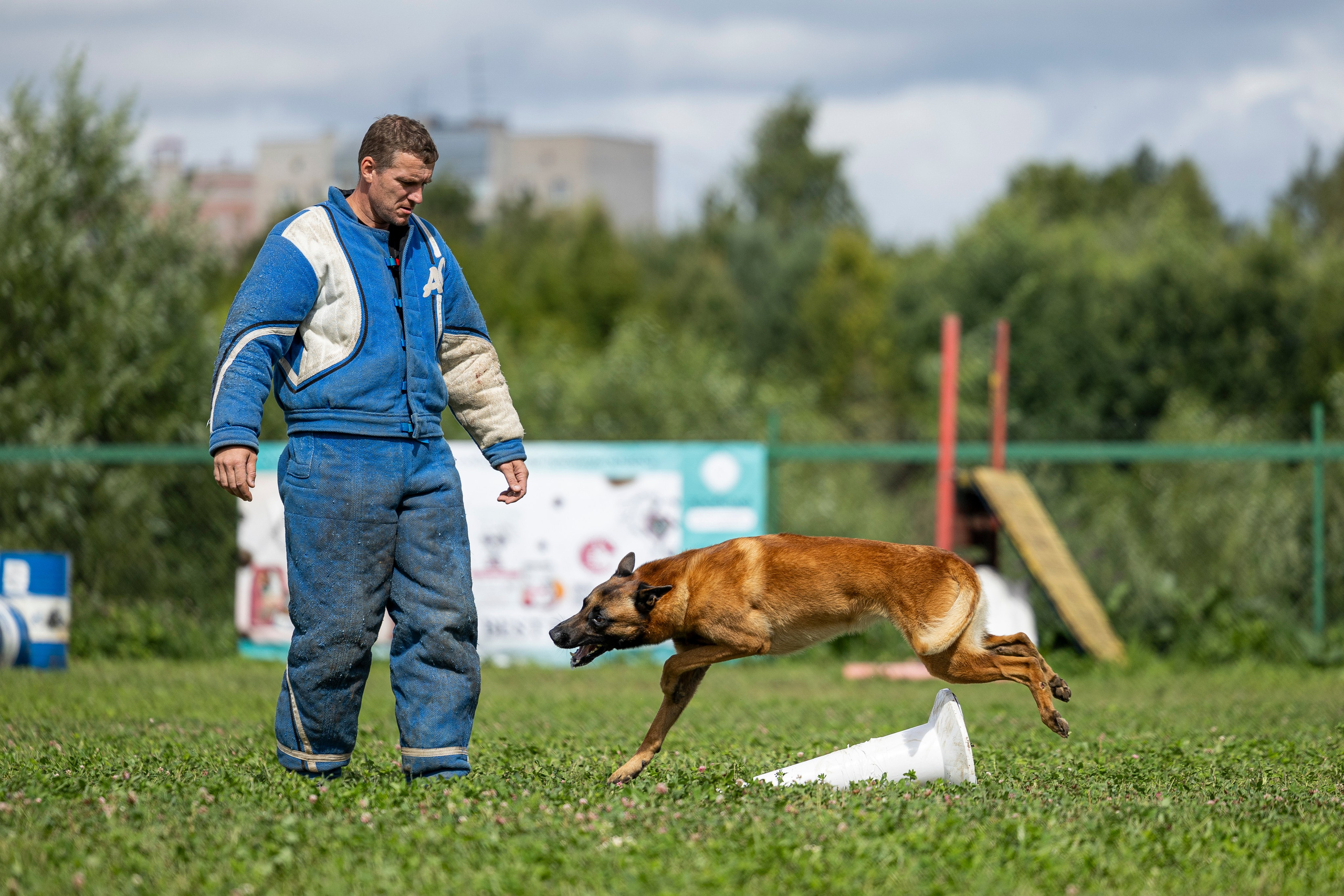 Соревнования по Мондьорингу г. Вологда 10-11.08.2024. Фотограф-анималист Анна Маринич
