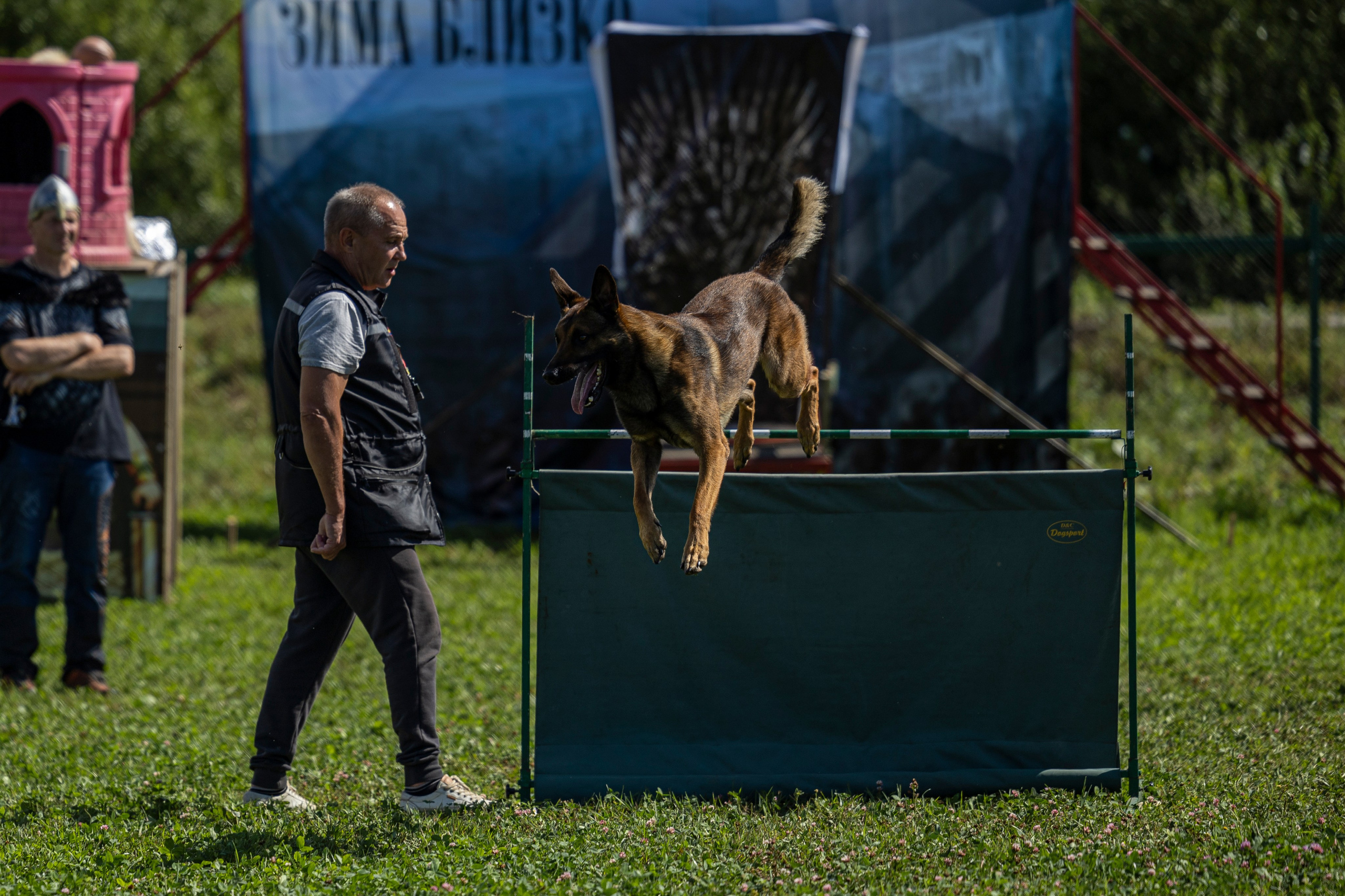 Соревнования по Мондьорингу г. Вологда 10-11.08.2024. Фотограф-анималист Анна Маринич