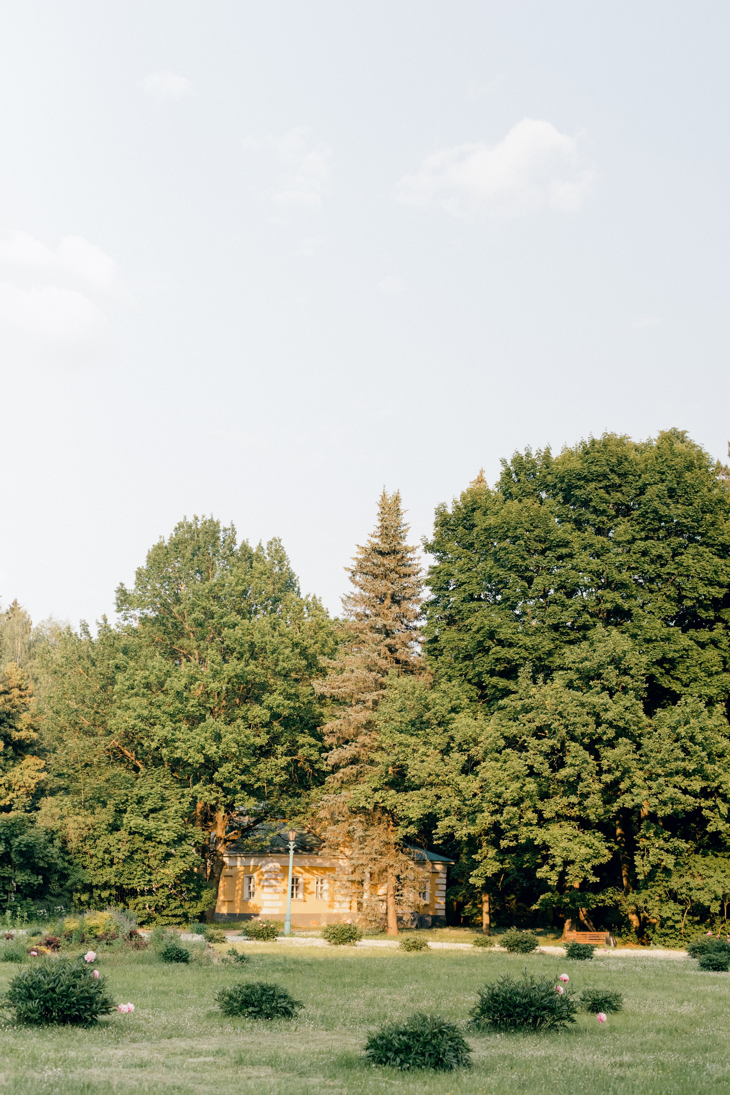 Маргаритки. Варвара Синицына: семейный фотограф в Москве