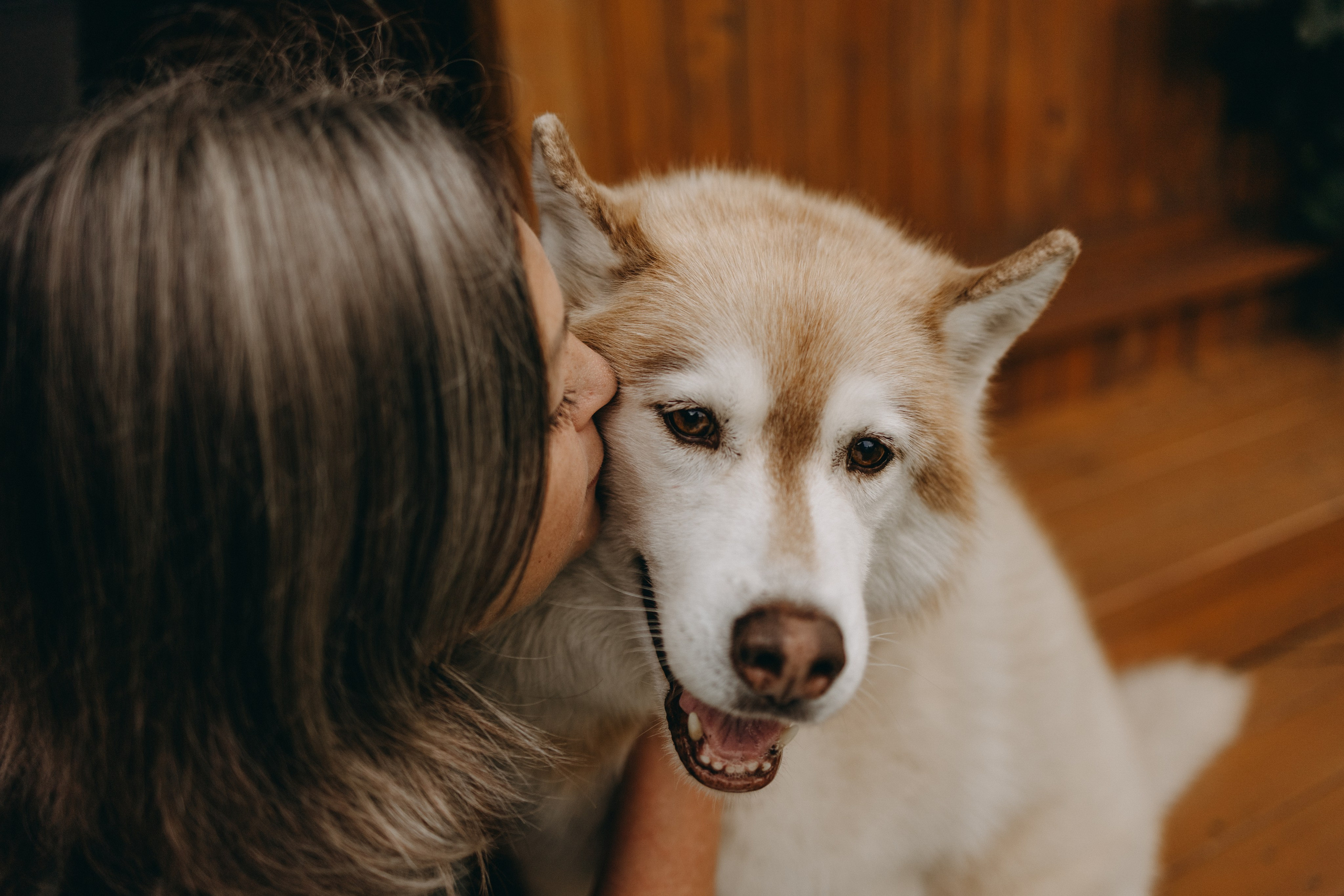 Дом у реки. Фотограф — Анималист | Санкт-Петербург