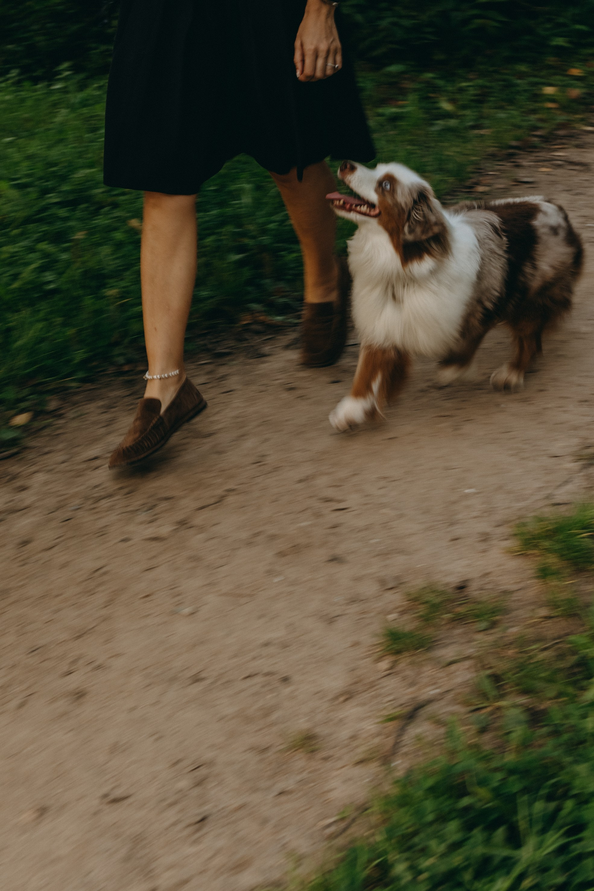 Маша и Эклер. Фотограф — Анималист | Санкт-Петербург