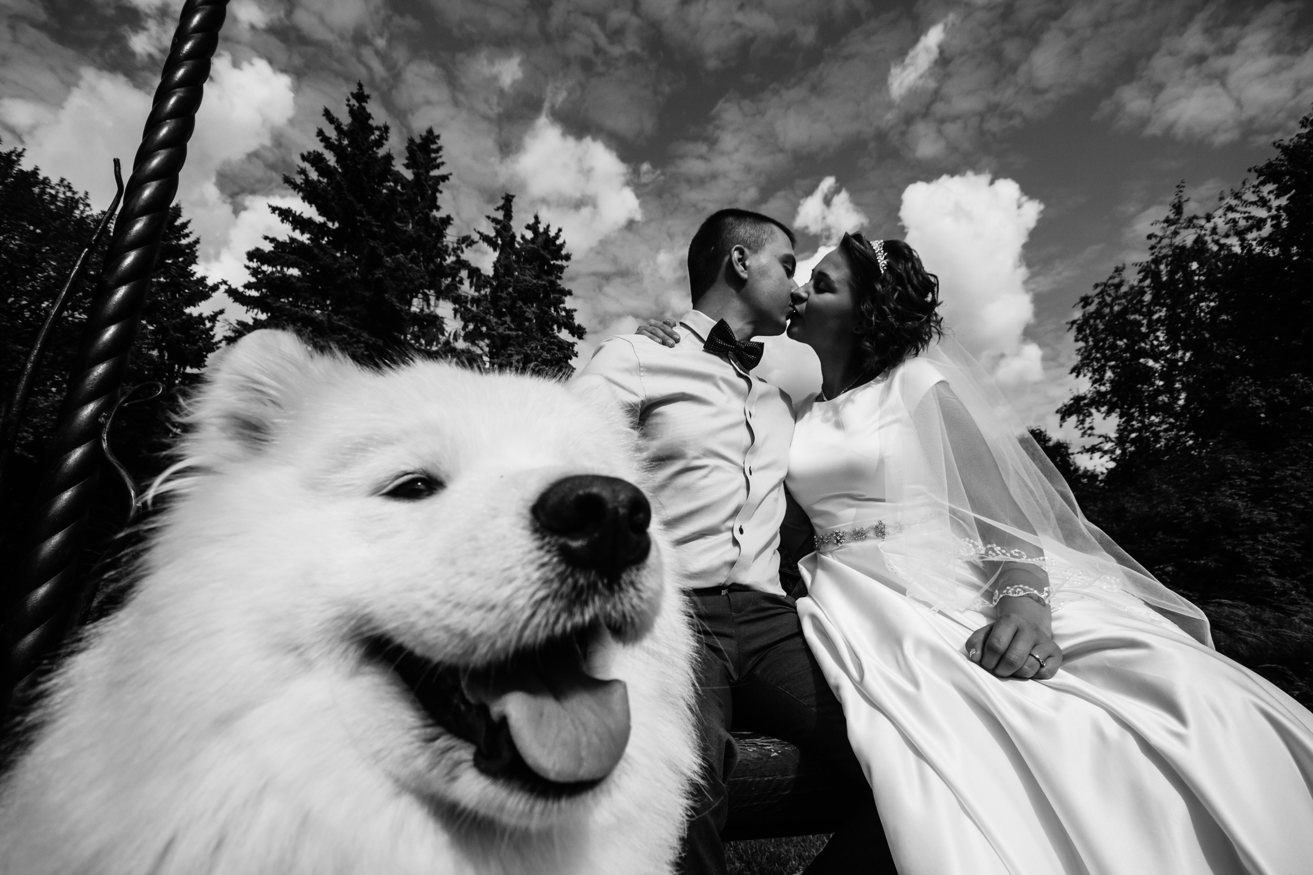 8.09.2018. Свадебный фотограф в Екатеринбурге Полевской Соликамск