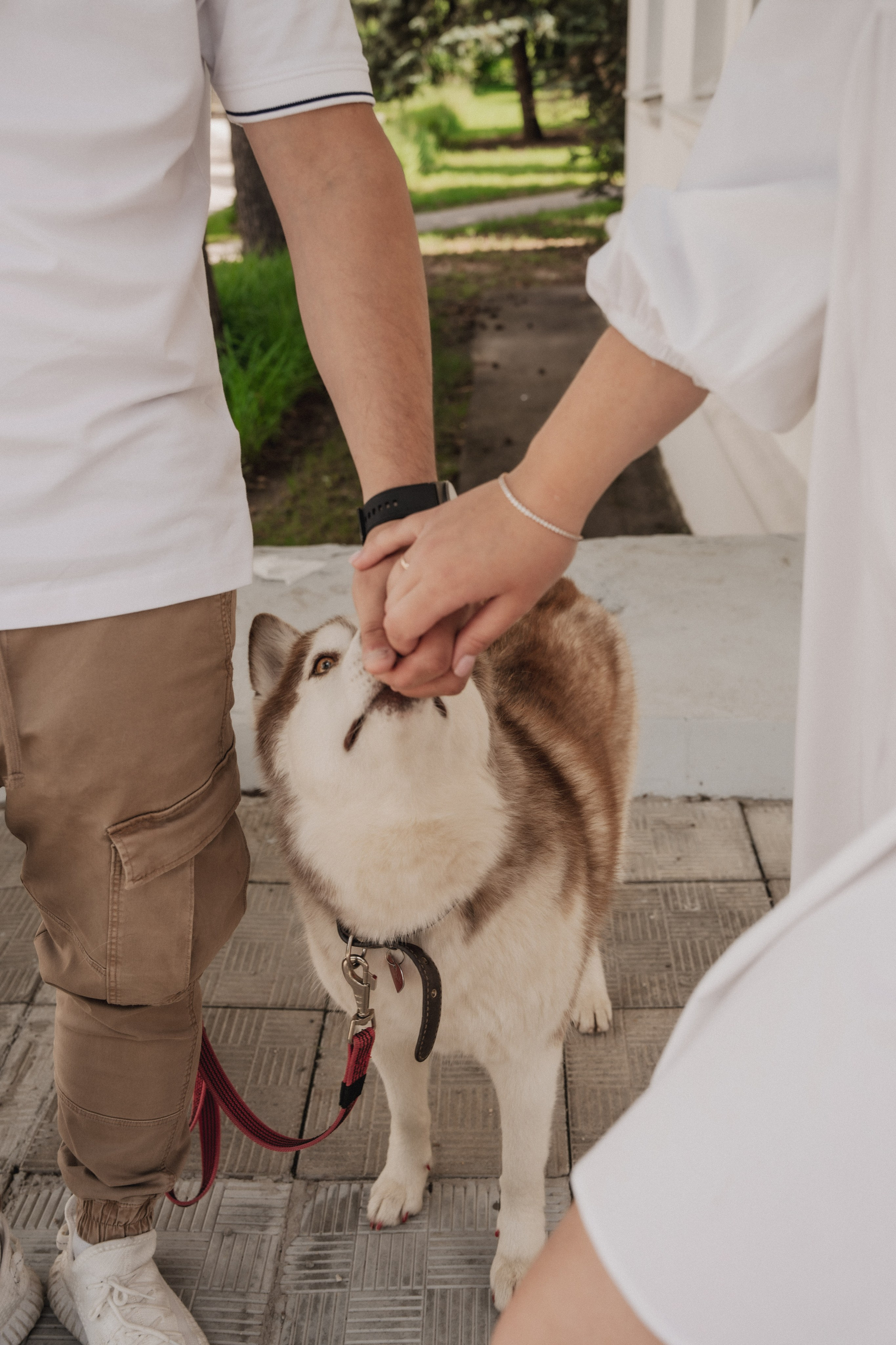 Дарья ♡ Максим ✧ Чоки — История любви, когда в семье есть хаски. Свадебный и портретный фотограф в Москве, Светлана Янковая