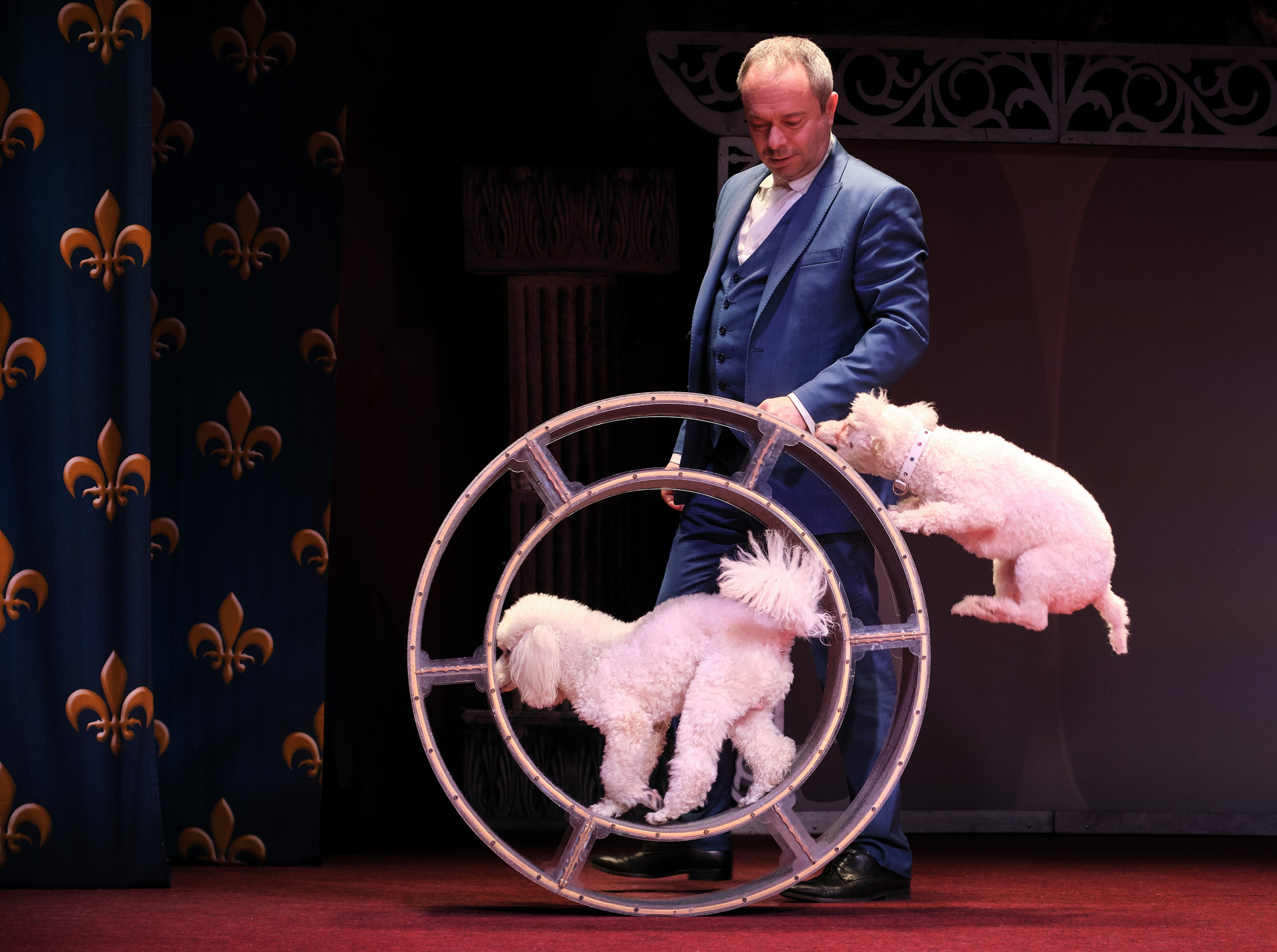 Пресс-конференция Ю.Куклачева в театре кошек