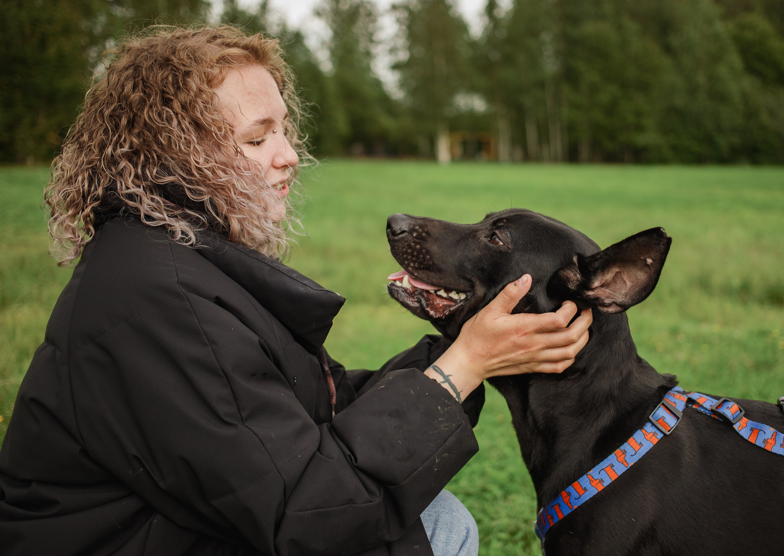 Отис ищет дом. Портретный фотограф в Санкт-Петербурге Катя Протасевич